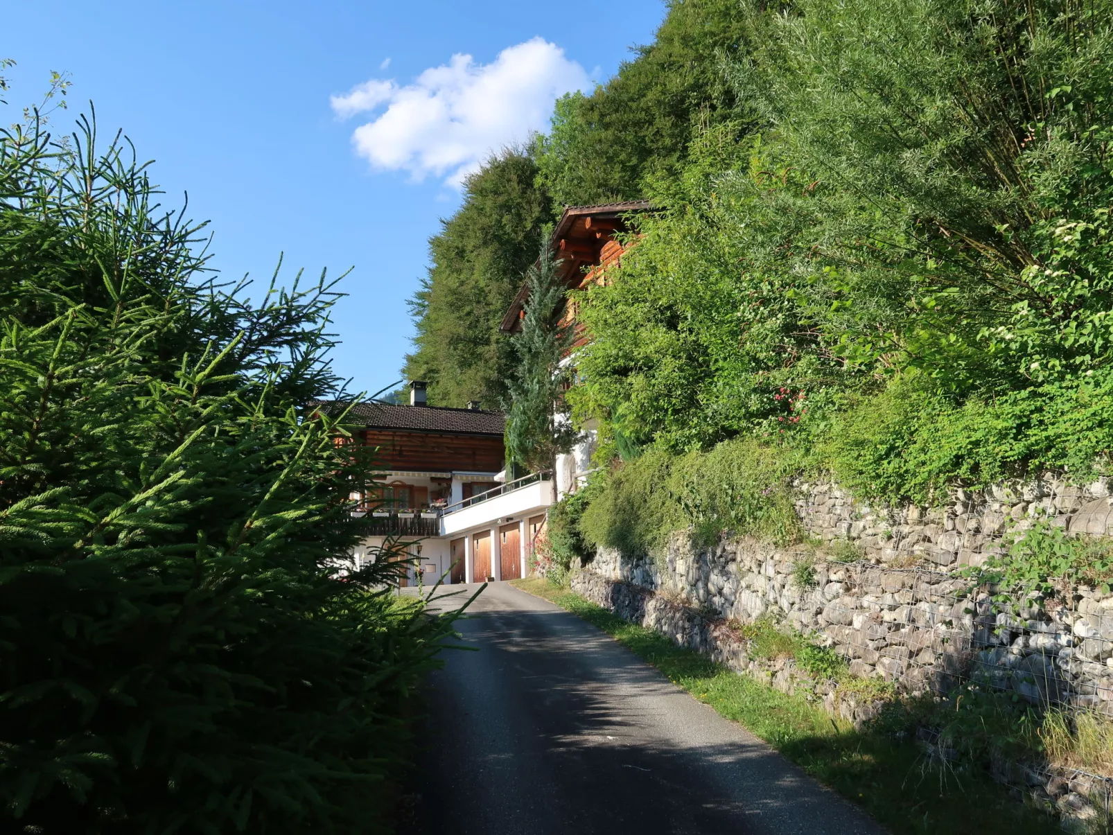 Chalet Bergnest-Outside