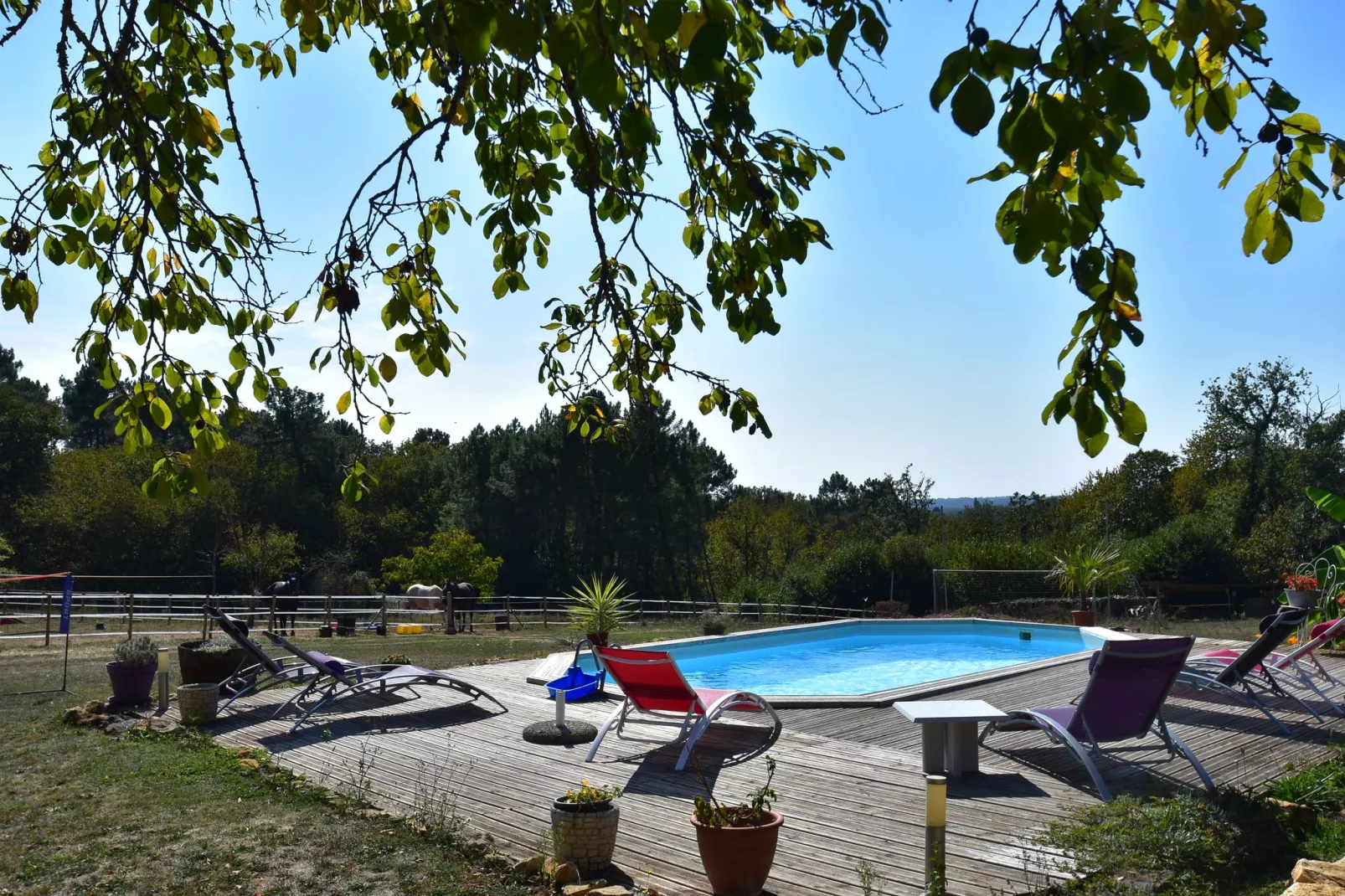 Maison de vacances Montferrand du Périgord-Pool