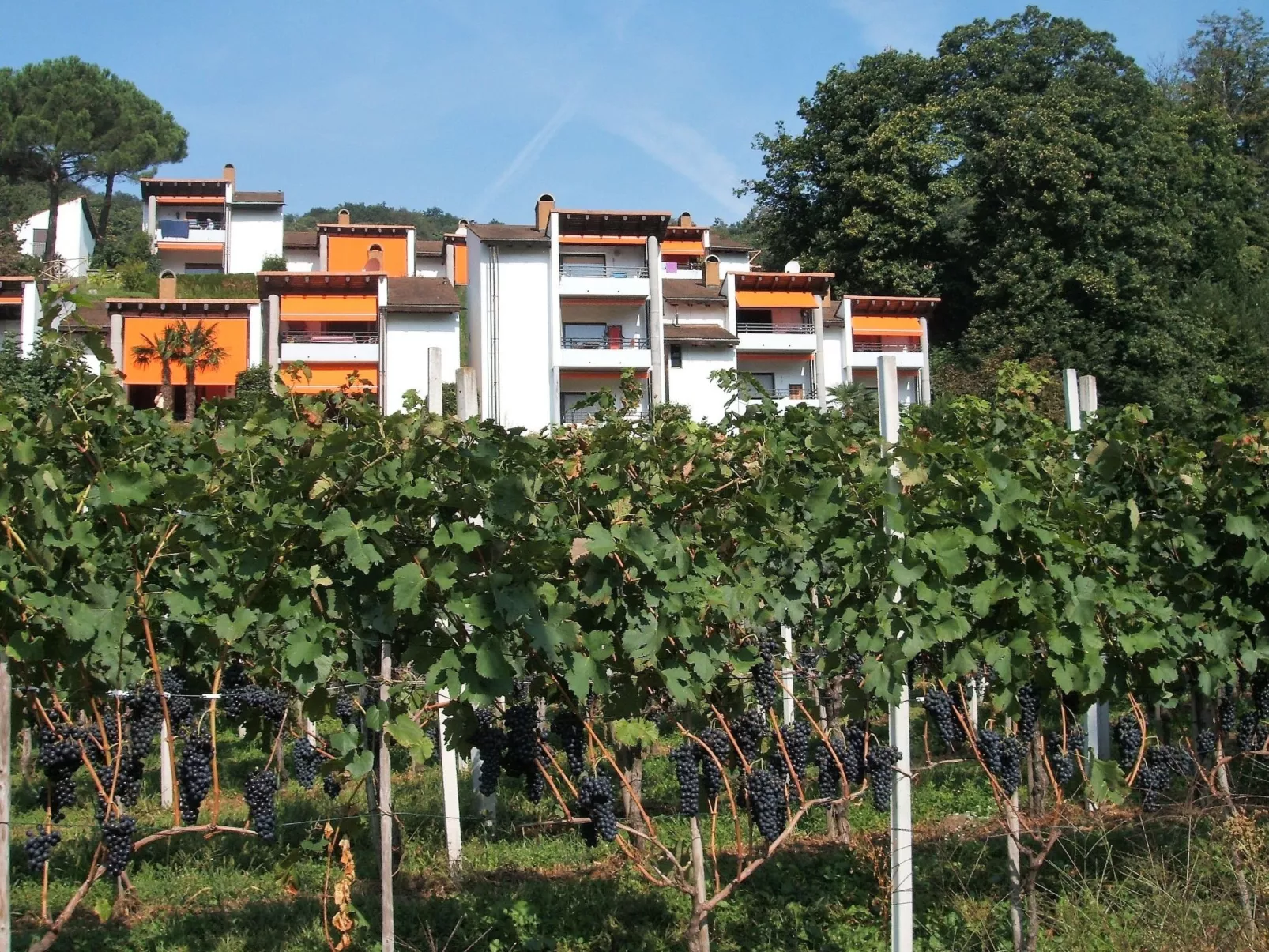 Villaggio Sureggio - App. C1-Draußen