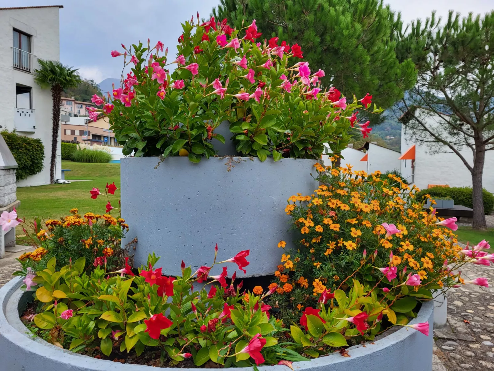 Villaggio Sureggio - App. C1-Drinnen