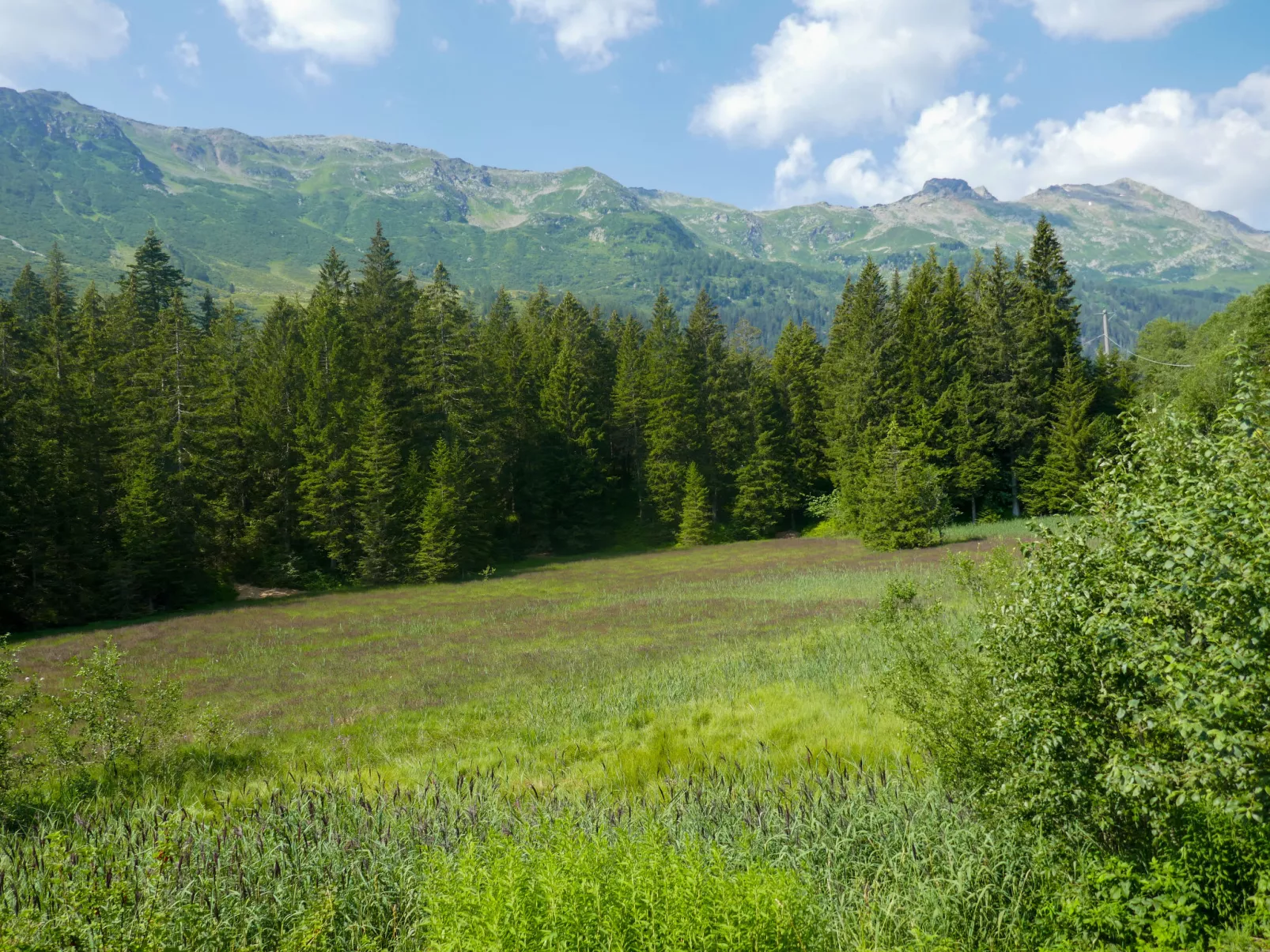 Rustico Orsaira-Area
