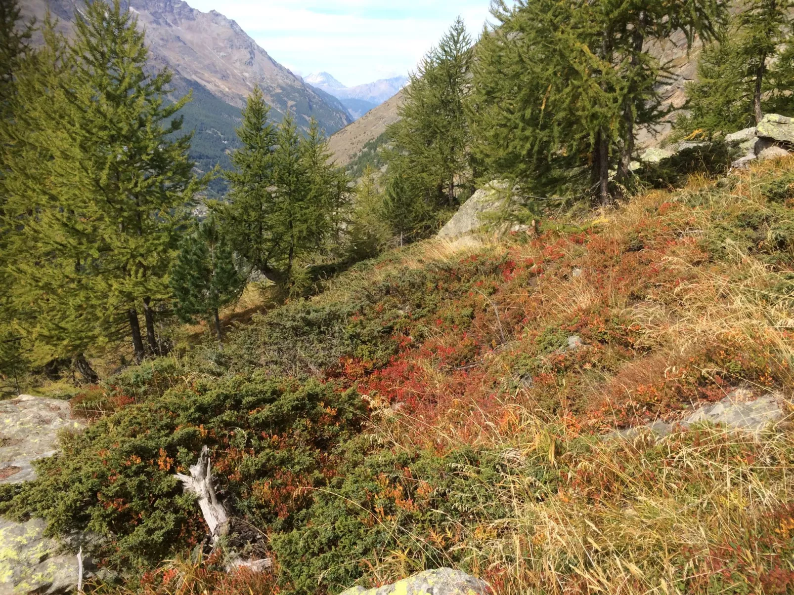 Chalet Sunstar Gross-Dehors