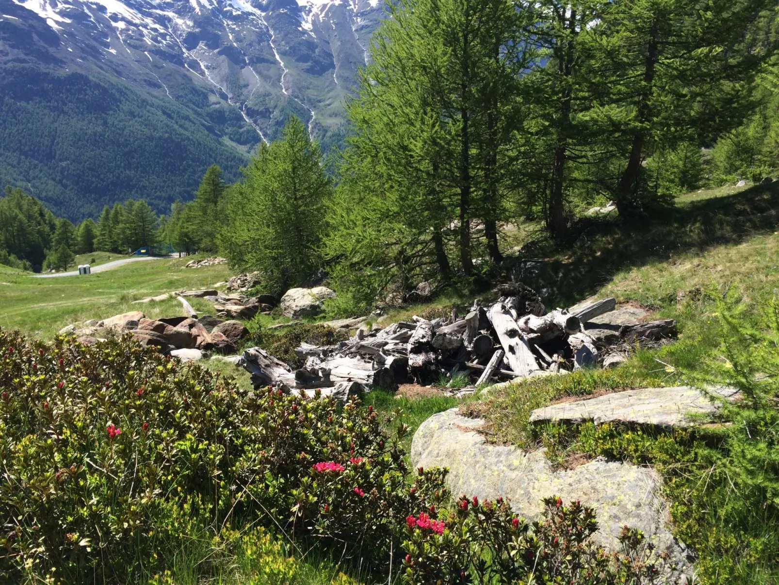 Chalet Sunstar Gross-Dehors