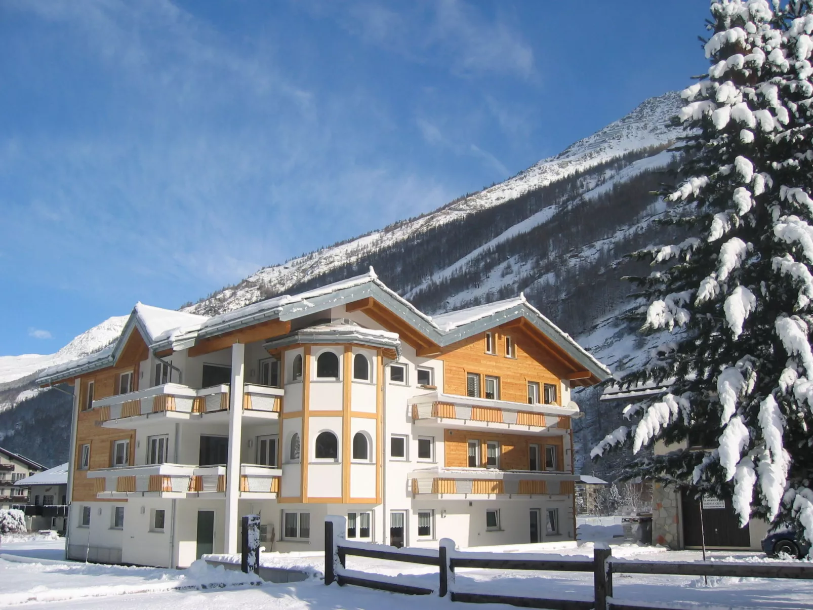 Alpenstern Distel-Outside
