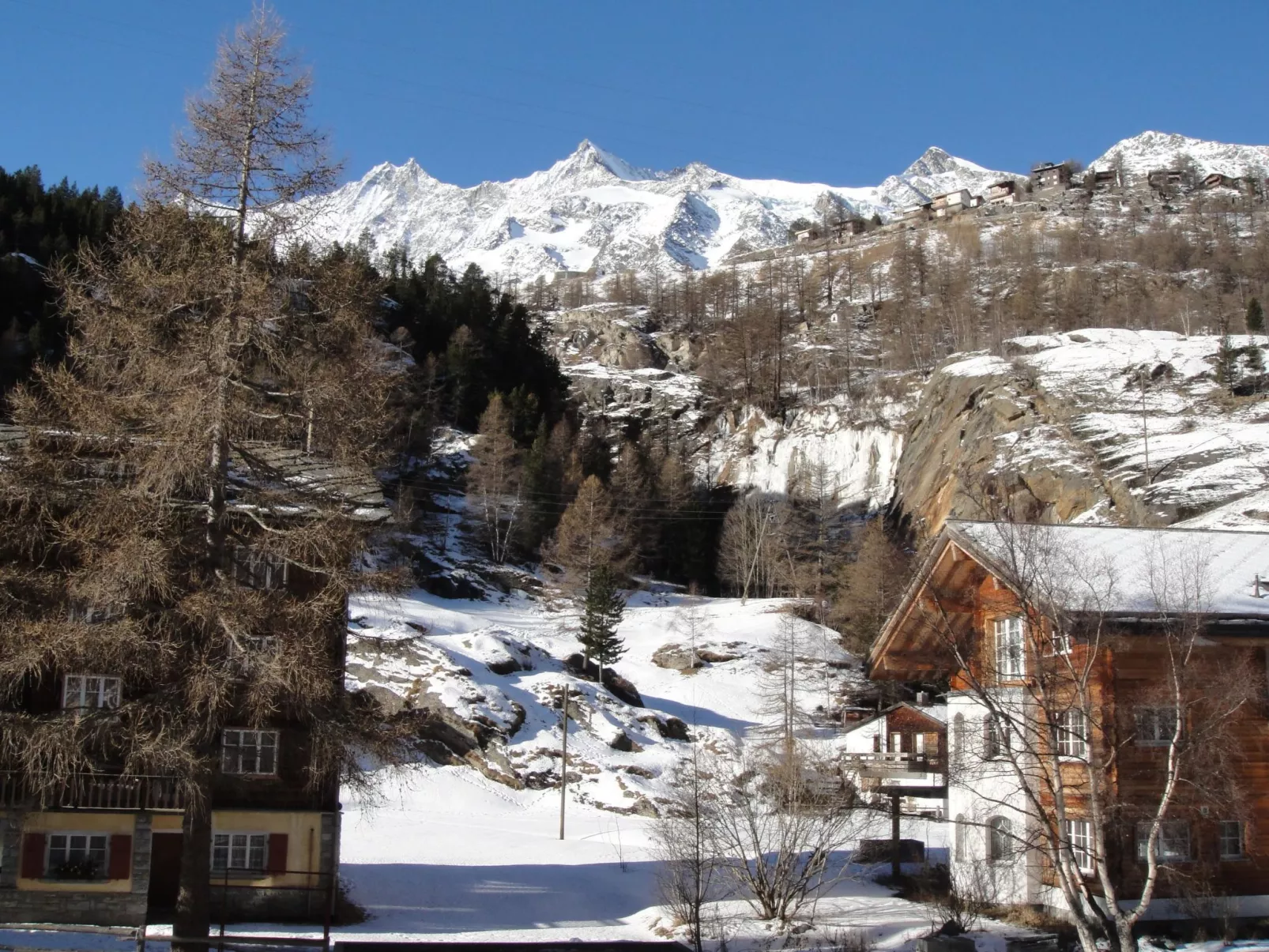 Alpenstern Distel-Outside