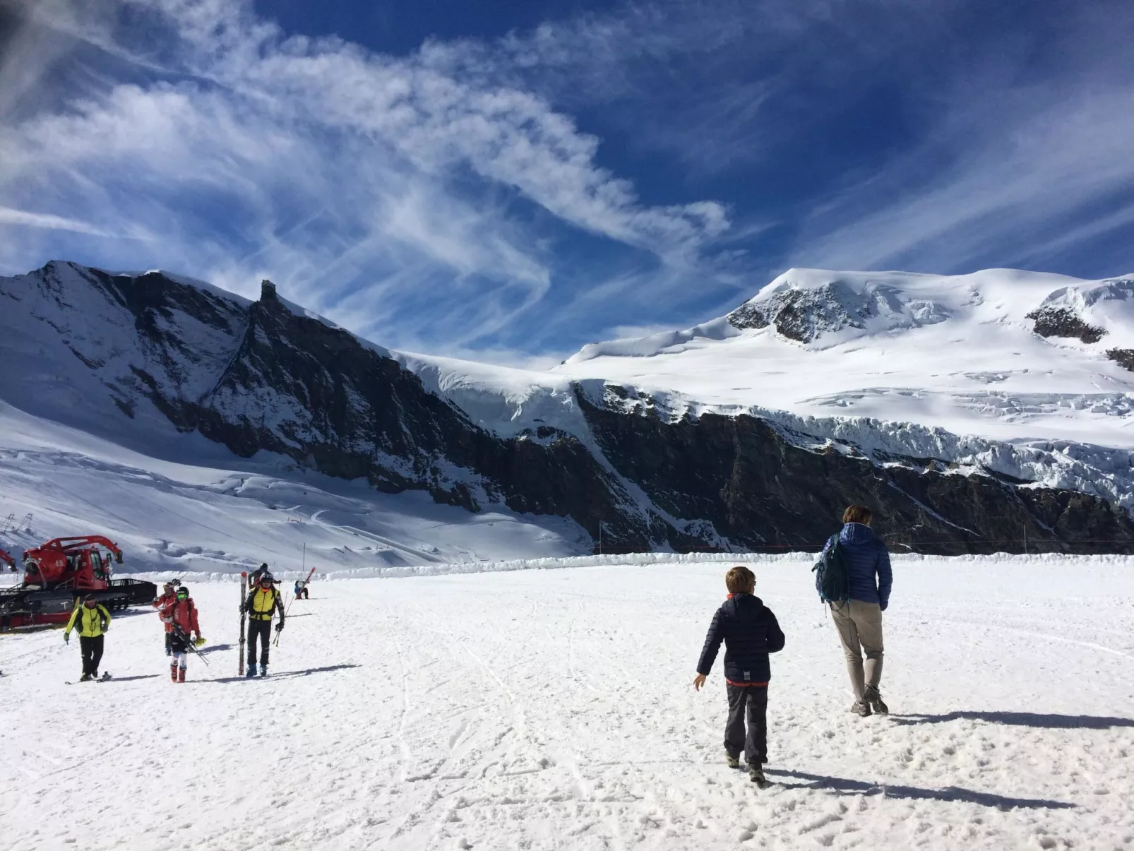 Alpenstern Distel-Outside
