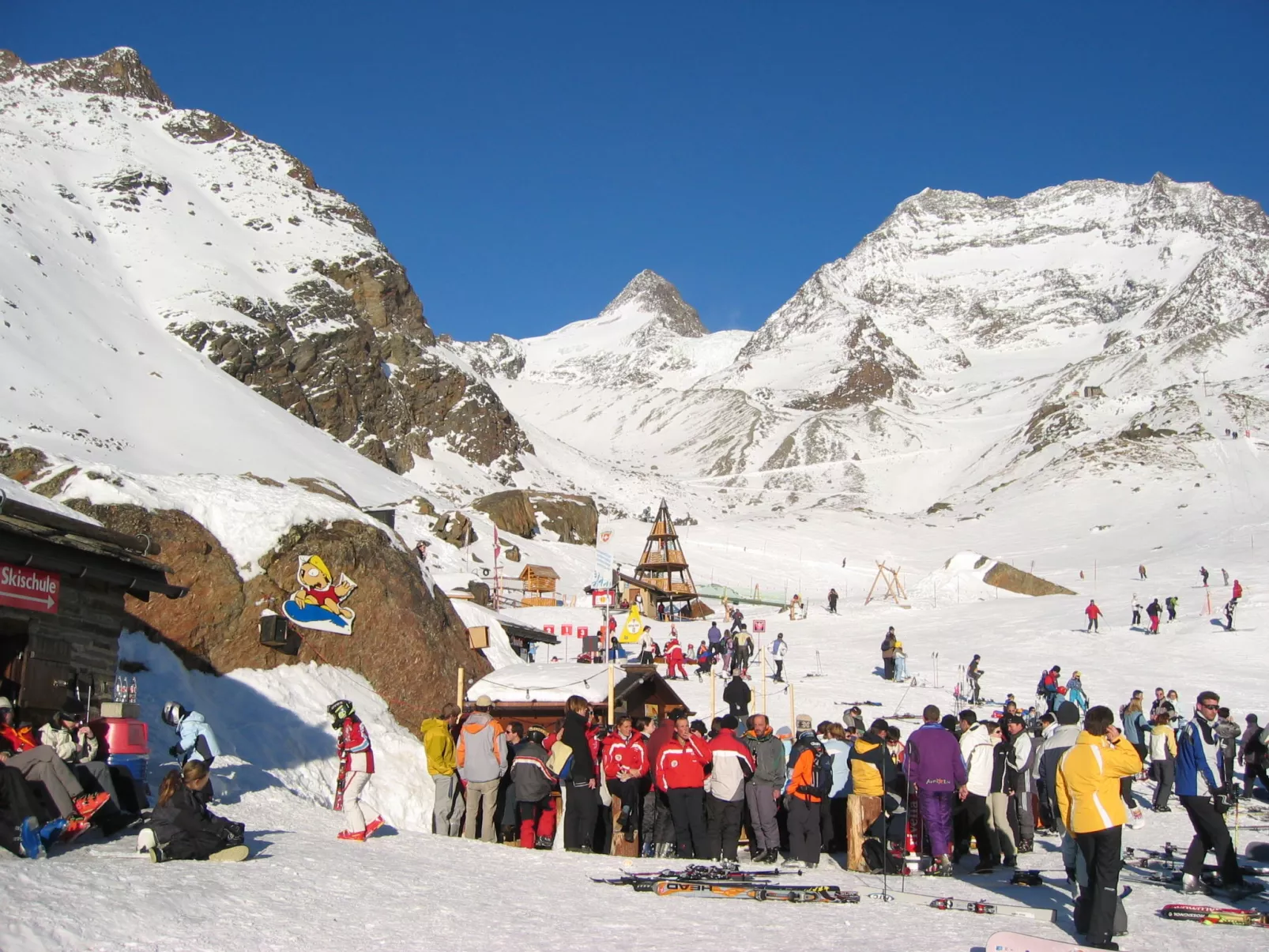 Alpenstern Distel-Outside