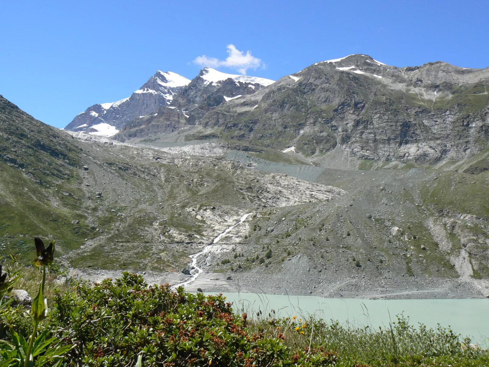 Alpenstern Trift-Outside
