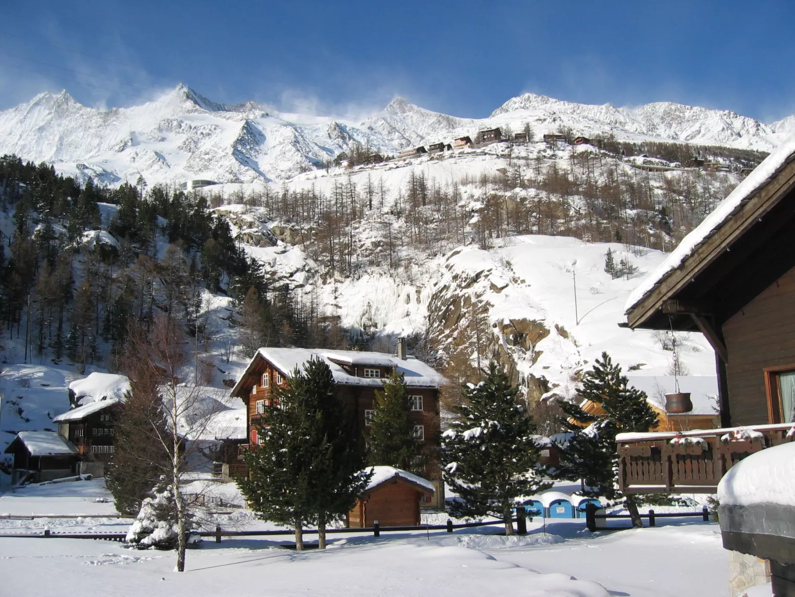 Alpenstern Trift-Outside