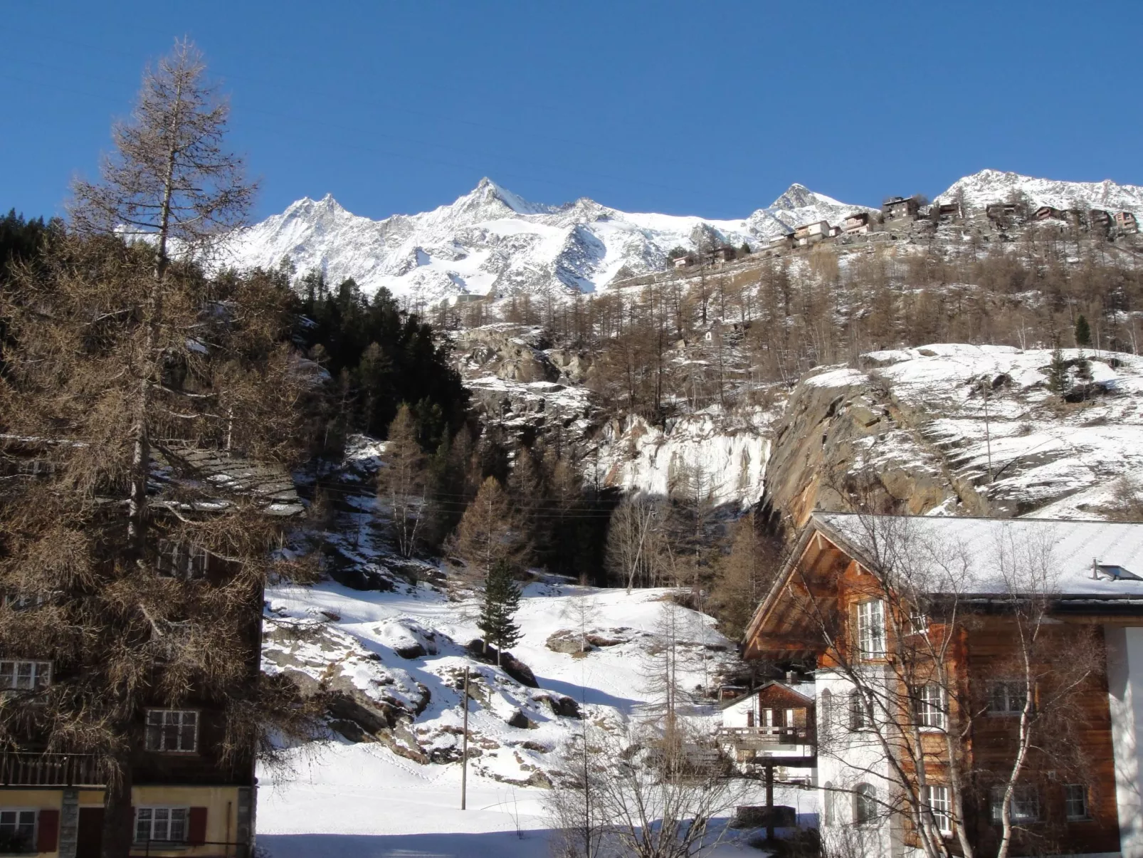 Alpenstern Trift-Outside