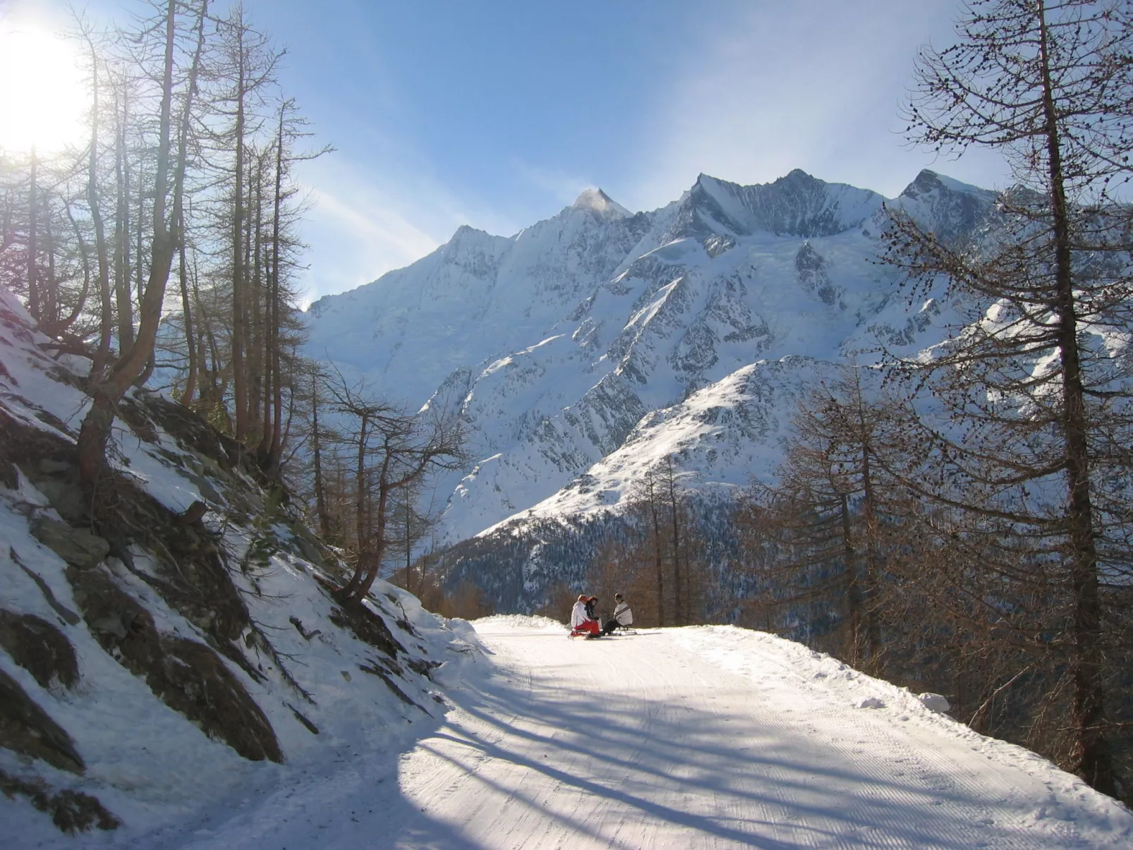 Alpenstern Trift-Outside