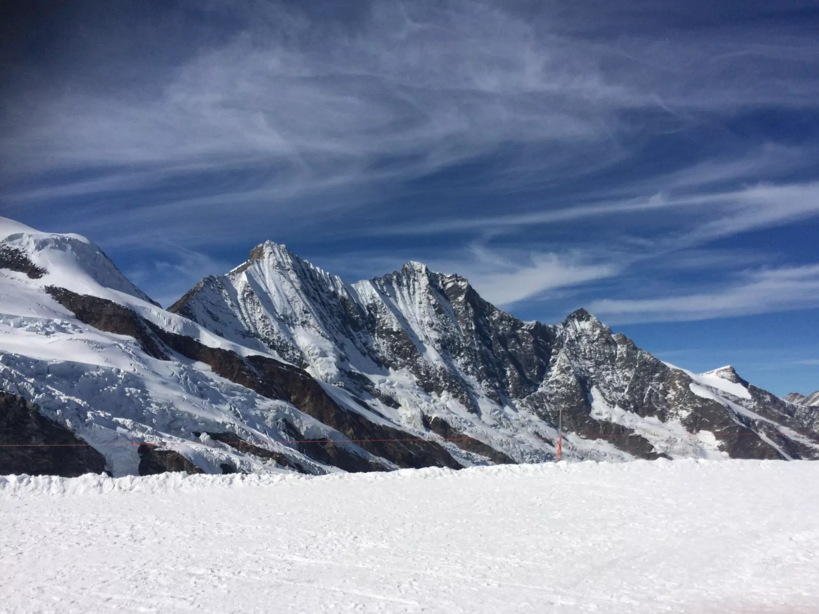 Alpenstern Trift-Outside