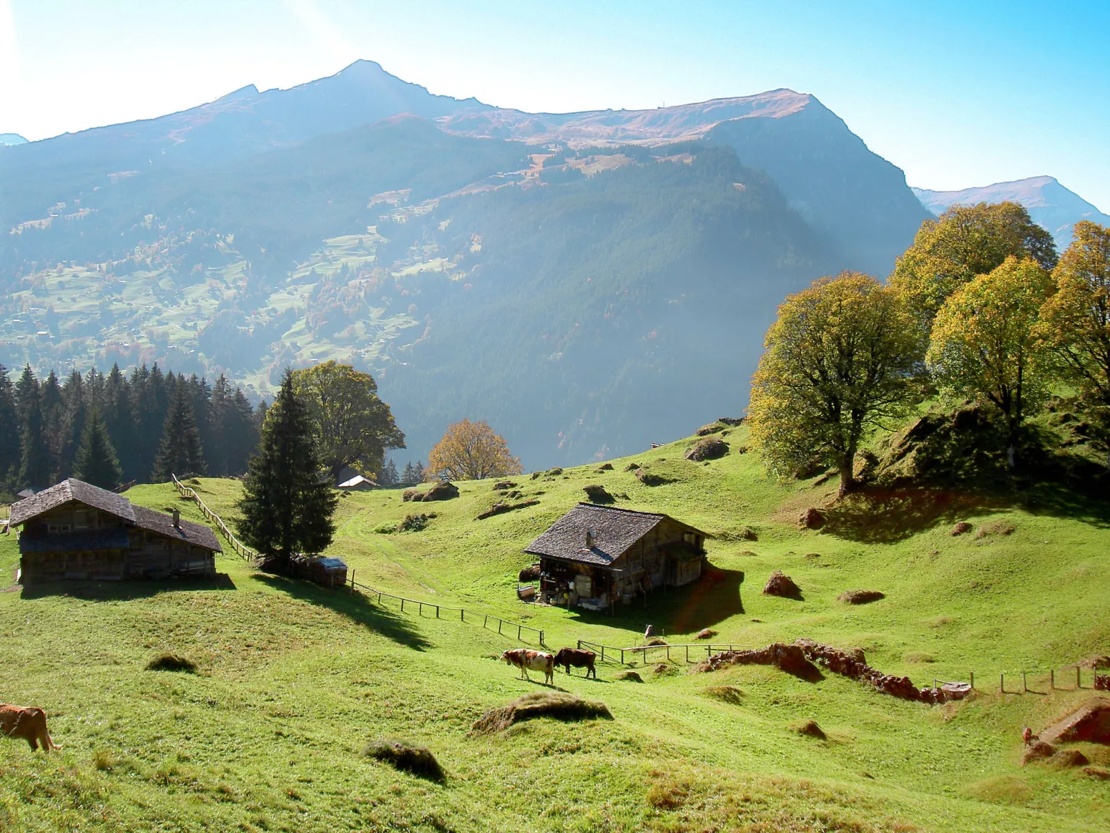 Chalet uf Duft-Area