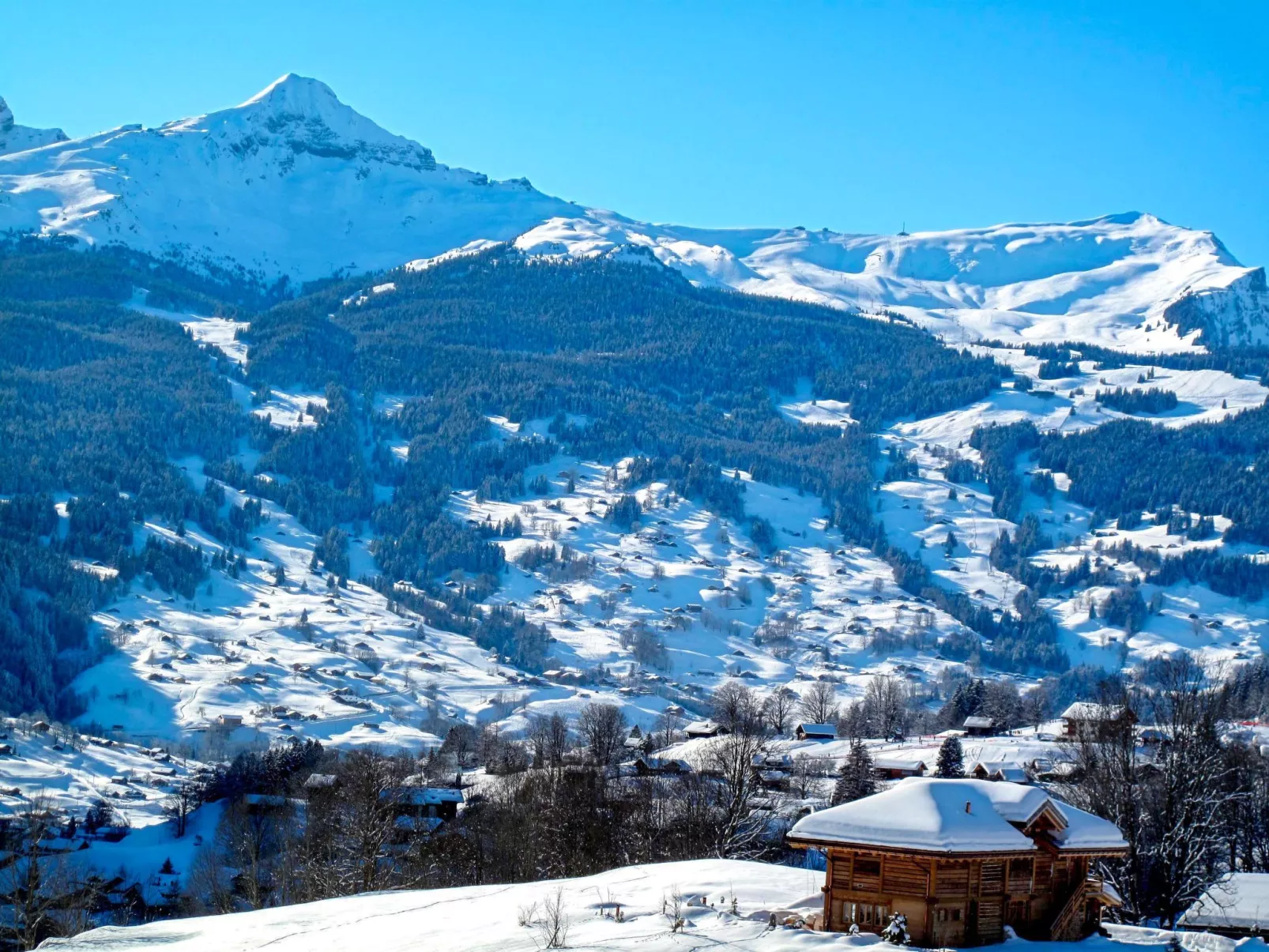Chalet uf Duft-Area