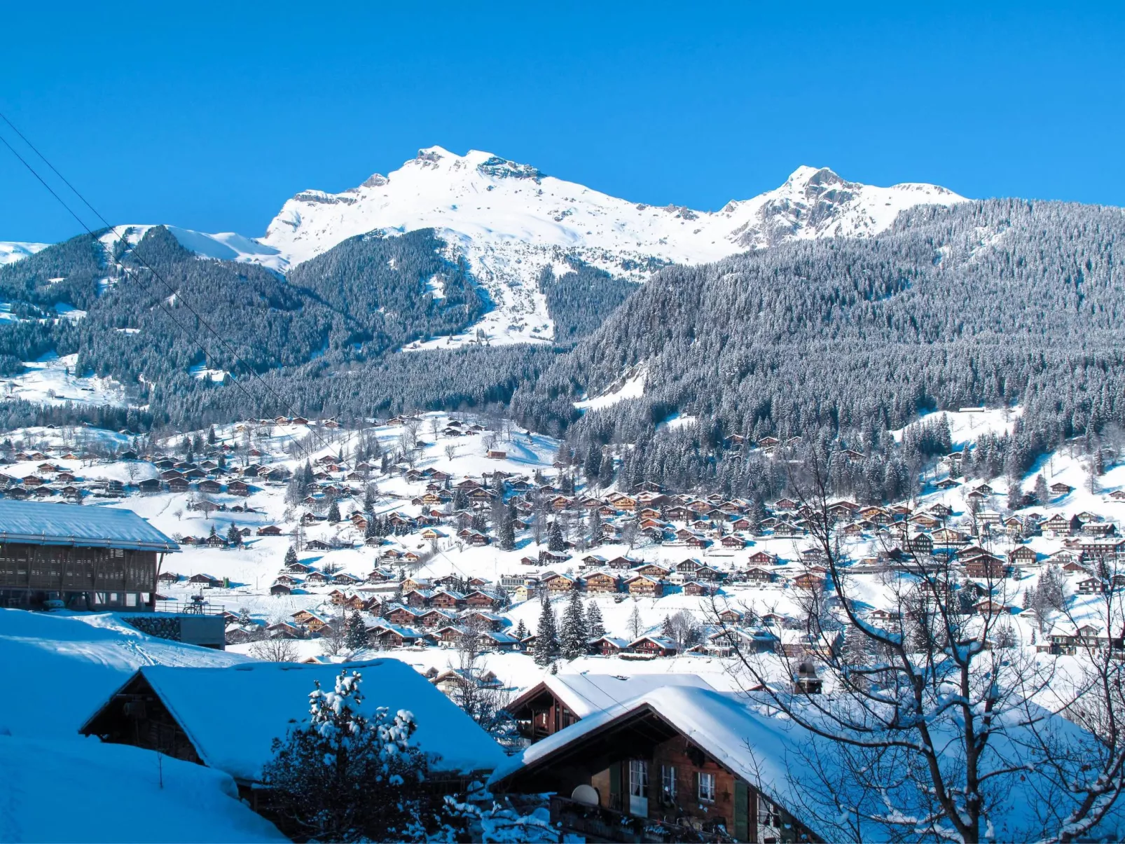 Chalet uf Duft-Area