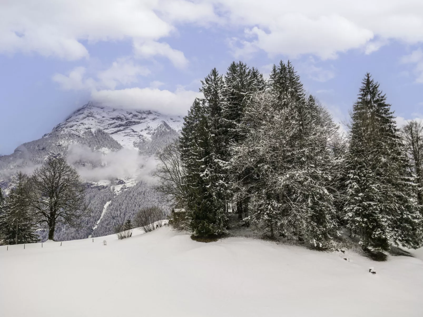 Chalet Grindelwaldgletscher-Draußen