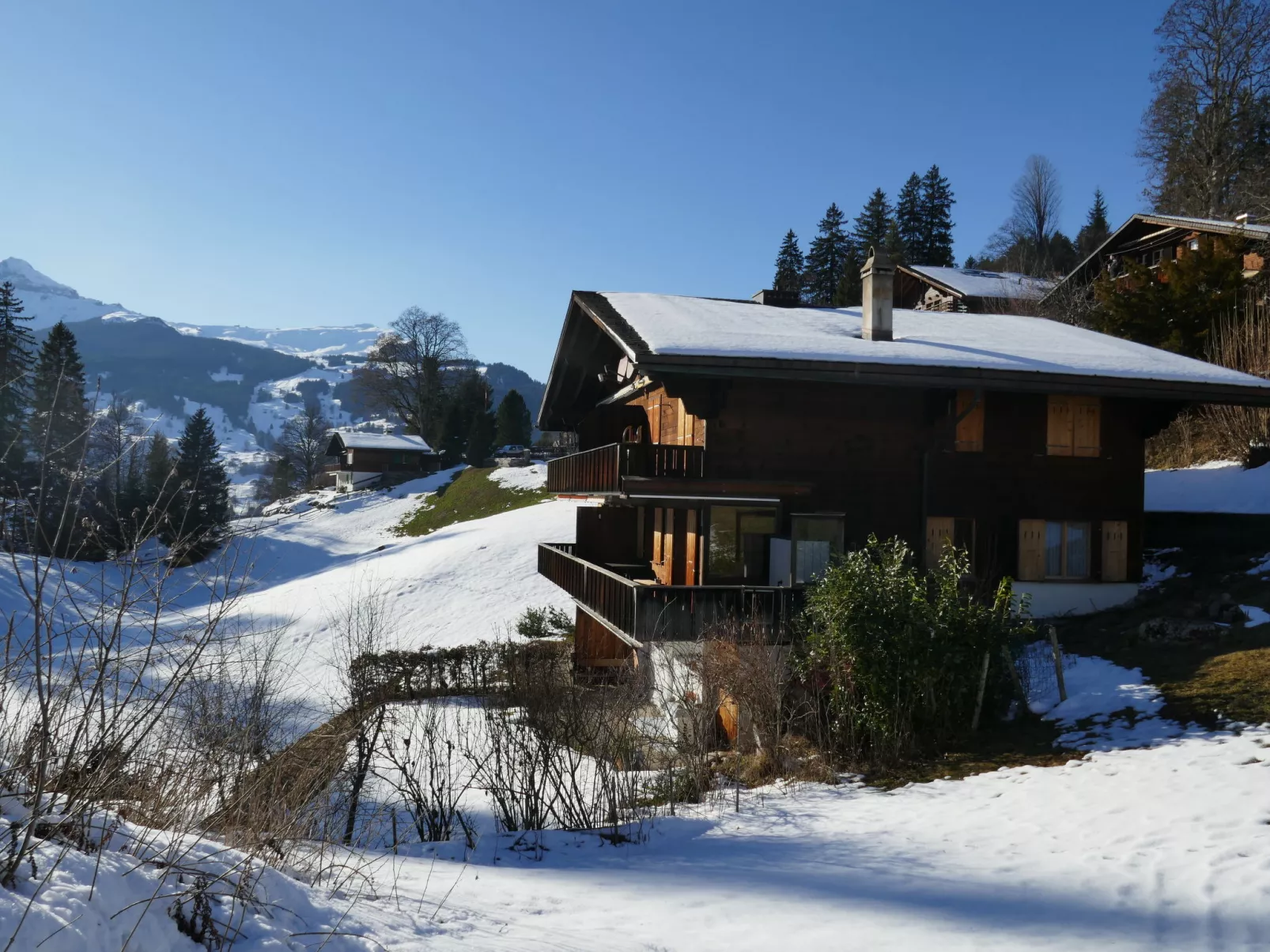 Chalet Grindelwaldgletscher-Draußen