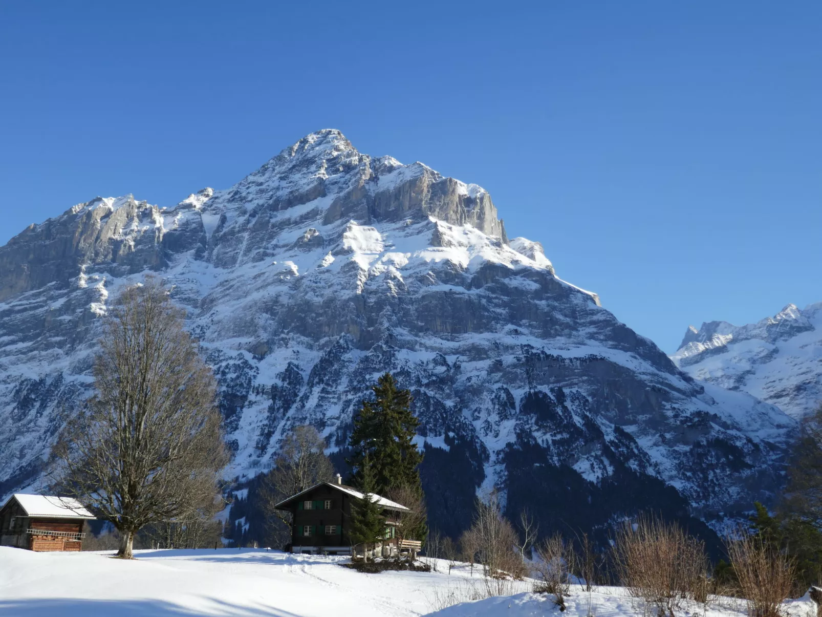 Chalet Grindelwaldgletscher-Draußen