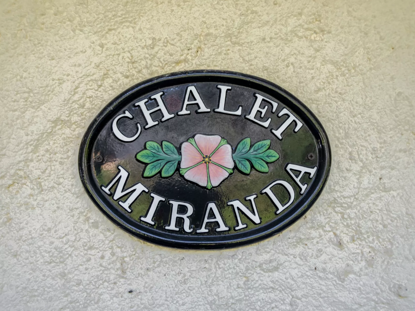Miranda-Drinnen