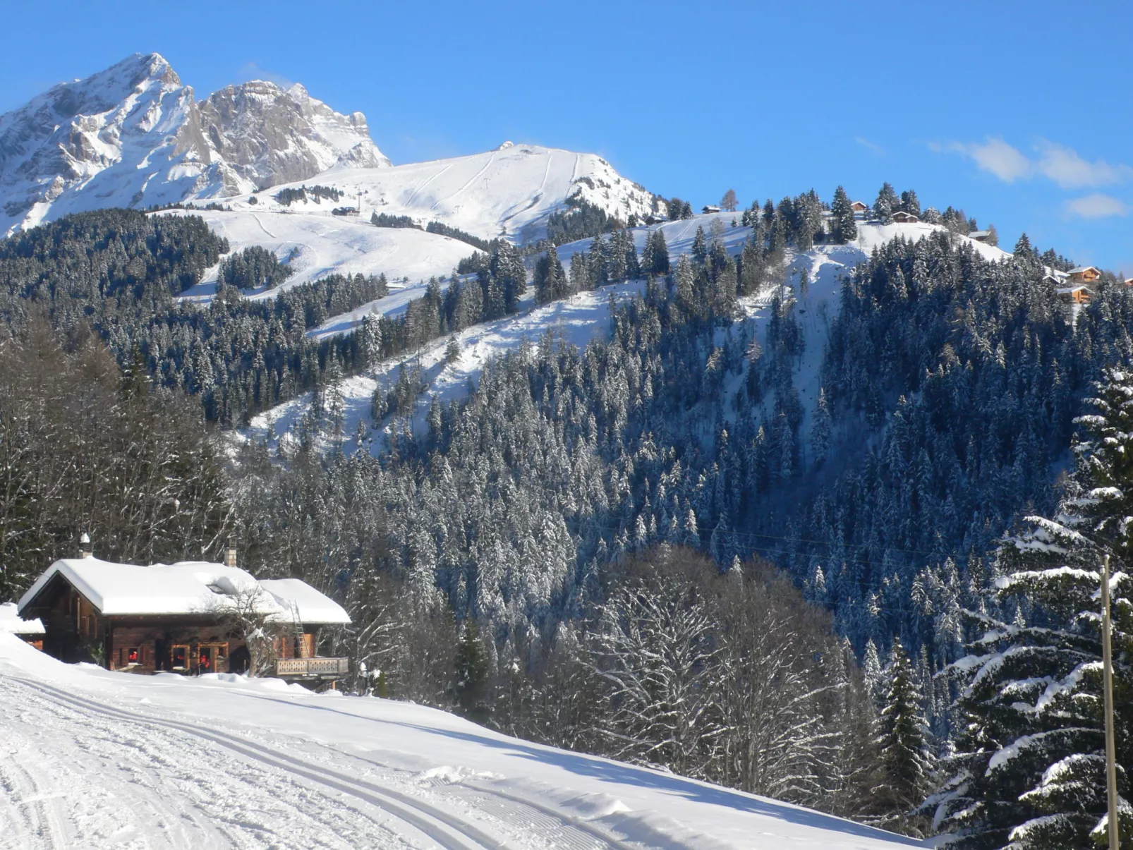 Chalet Picoulet-Umgebung