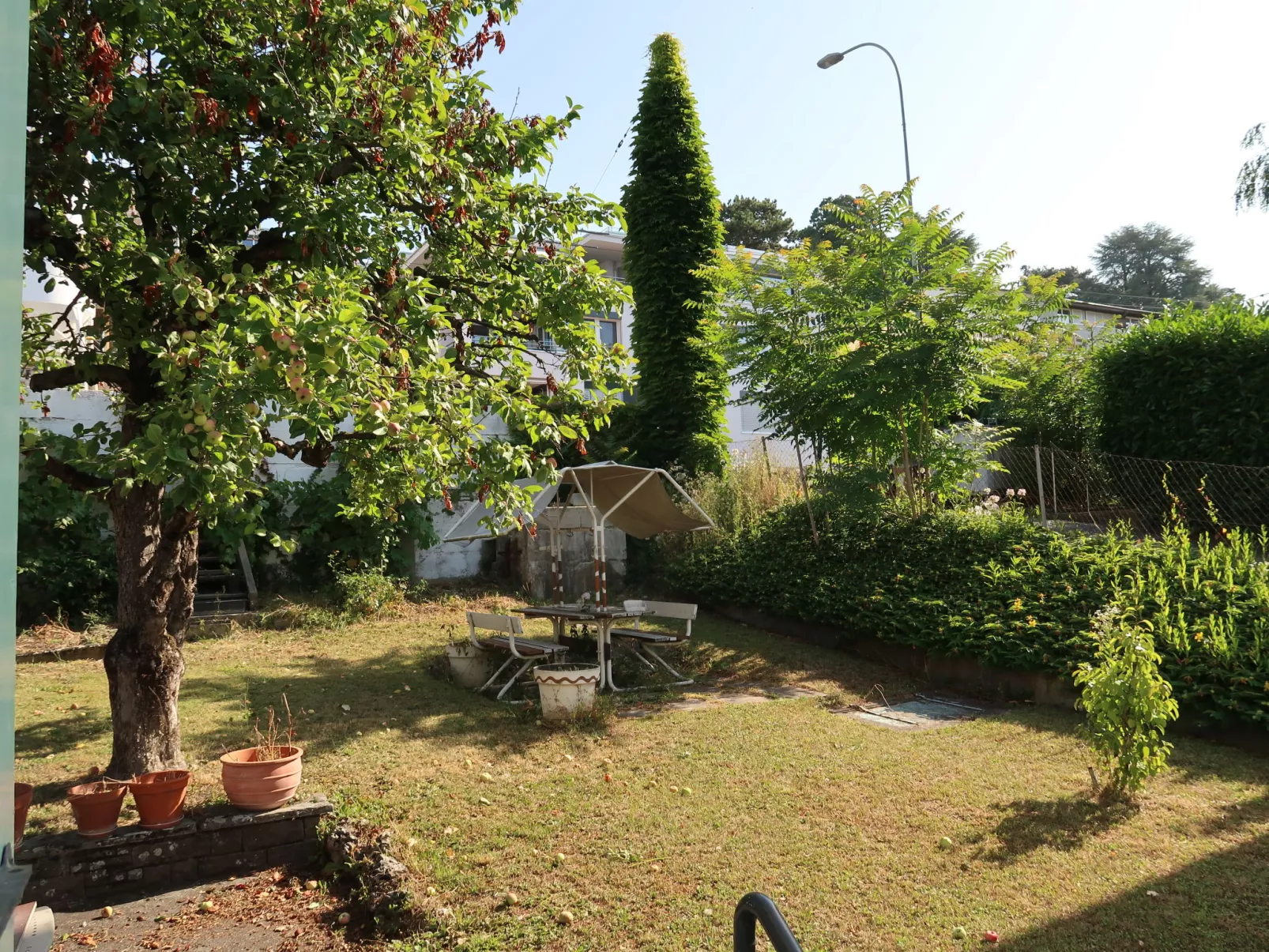Petit Nid de Pully-Outside