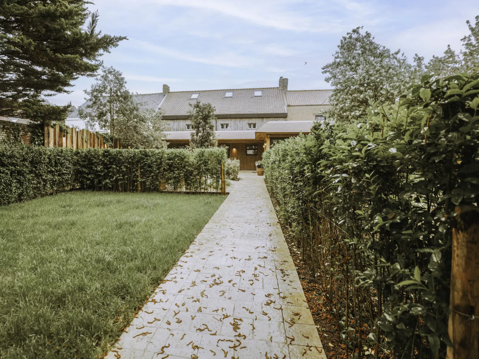 Huyze Ter Bercken with swimming pond-Outside