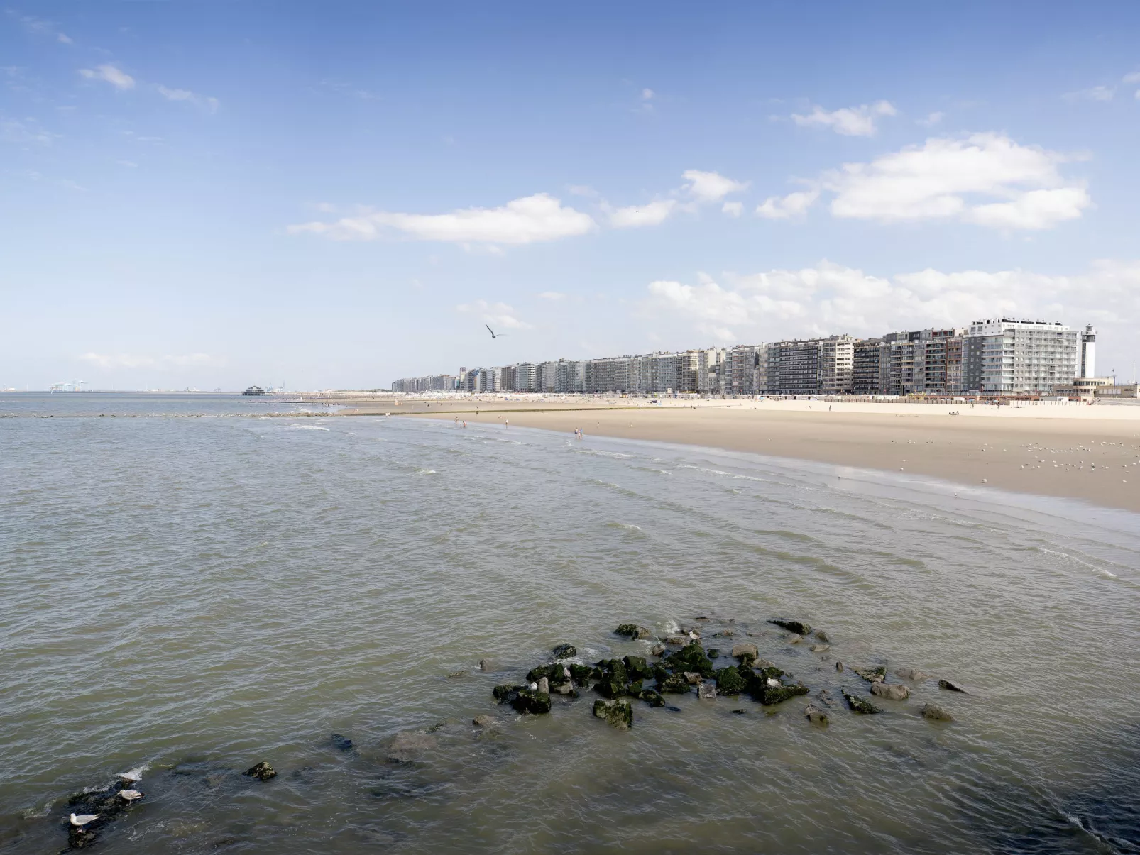 Amuzee with parking & lateral sea view-Outside