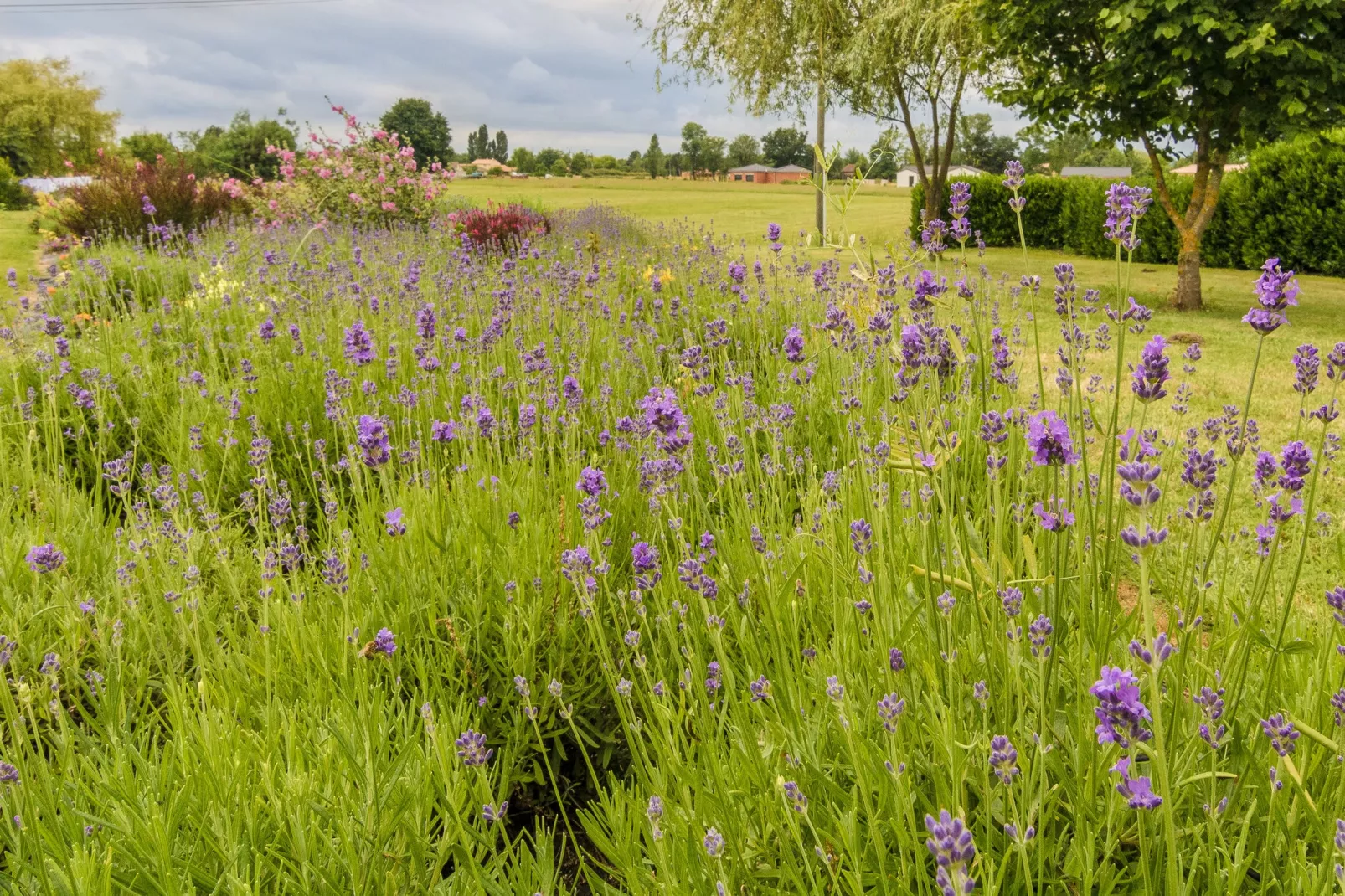 Residence Le Perrot-Gardens summer