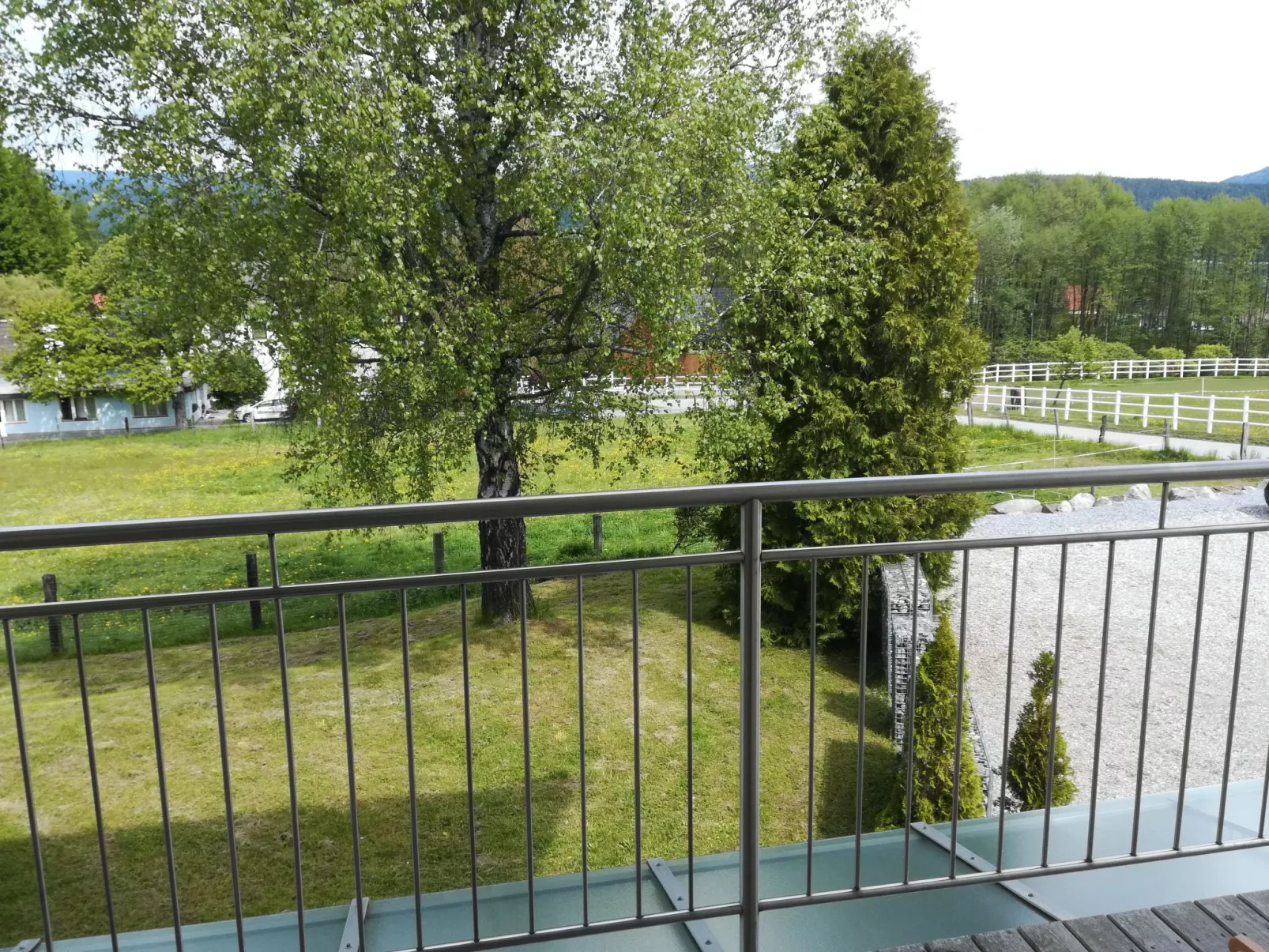 Löwenzahn-Outside