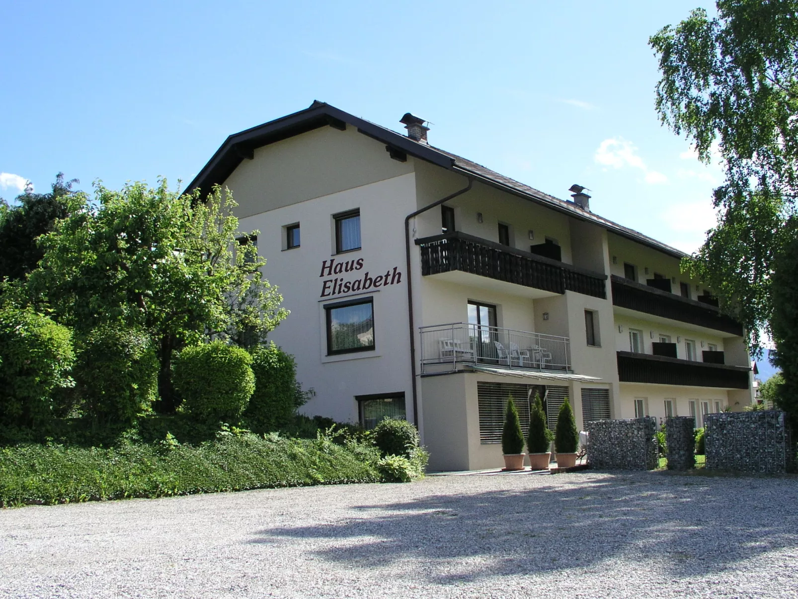 Löwenzahn-Outside