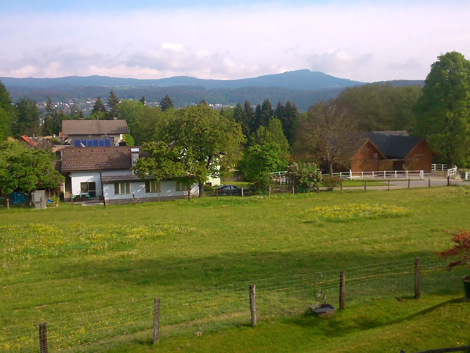 Löwenzahn-Outside