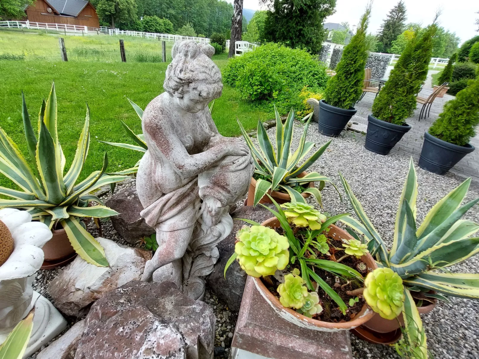 Löwenzahn-Outside