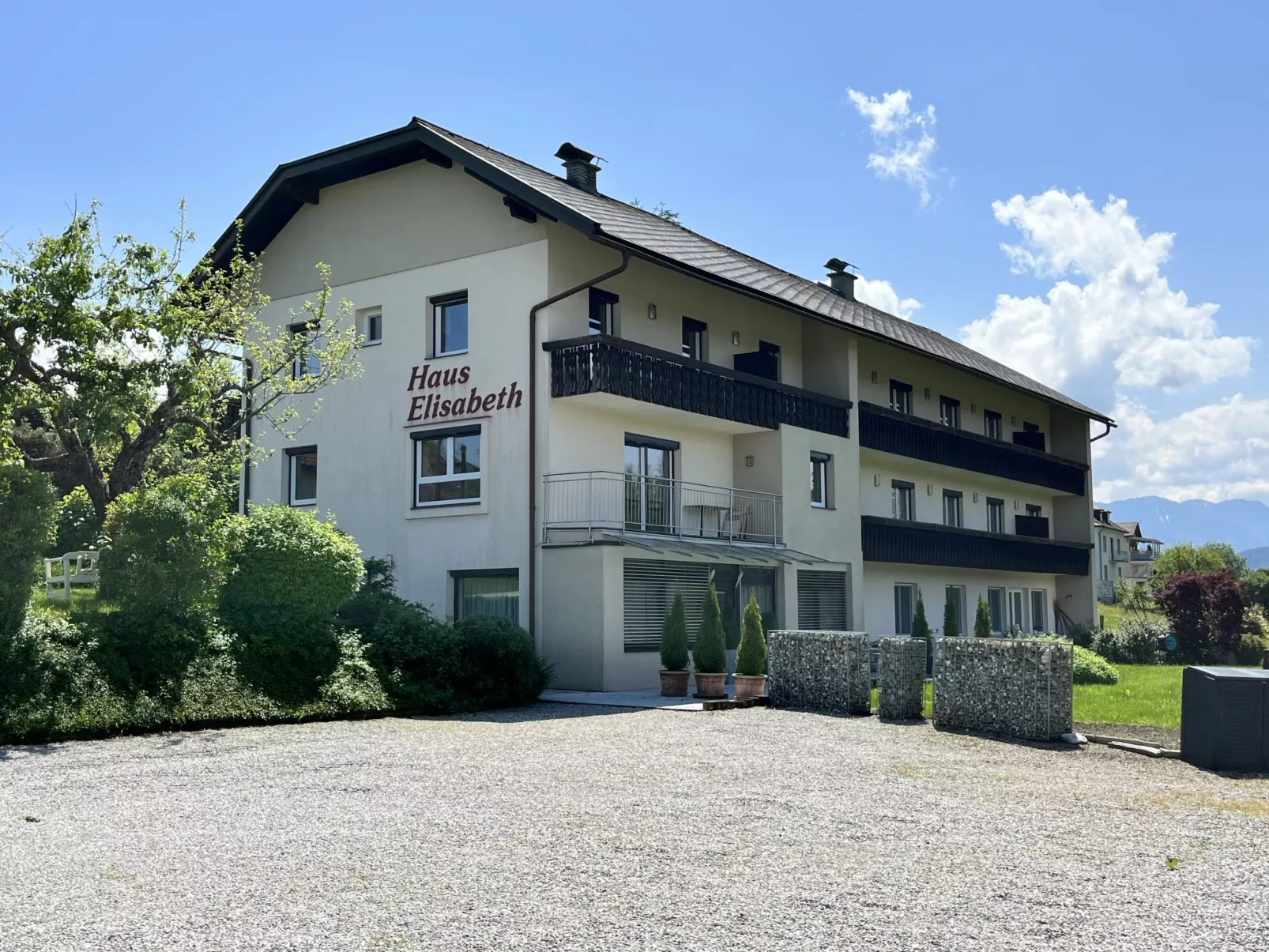 Löwenzahn-Outside