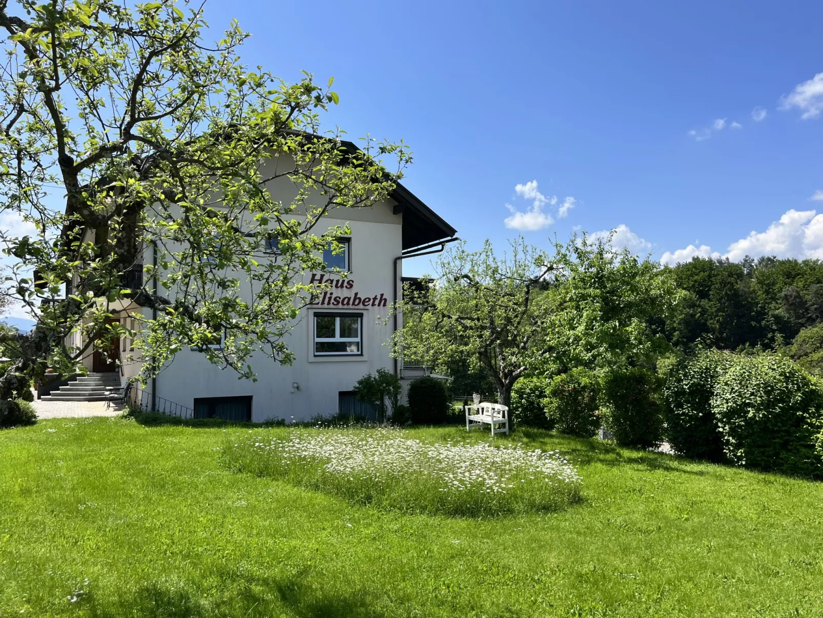 Löwenzahn-Outside