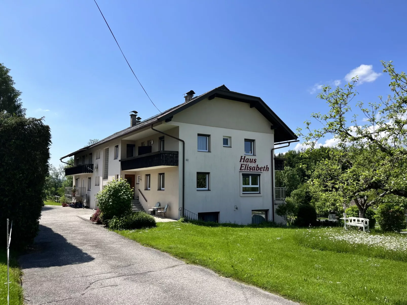Löwenzahn-Outside