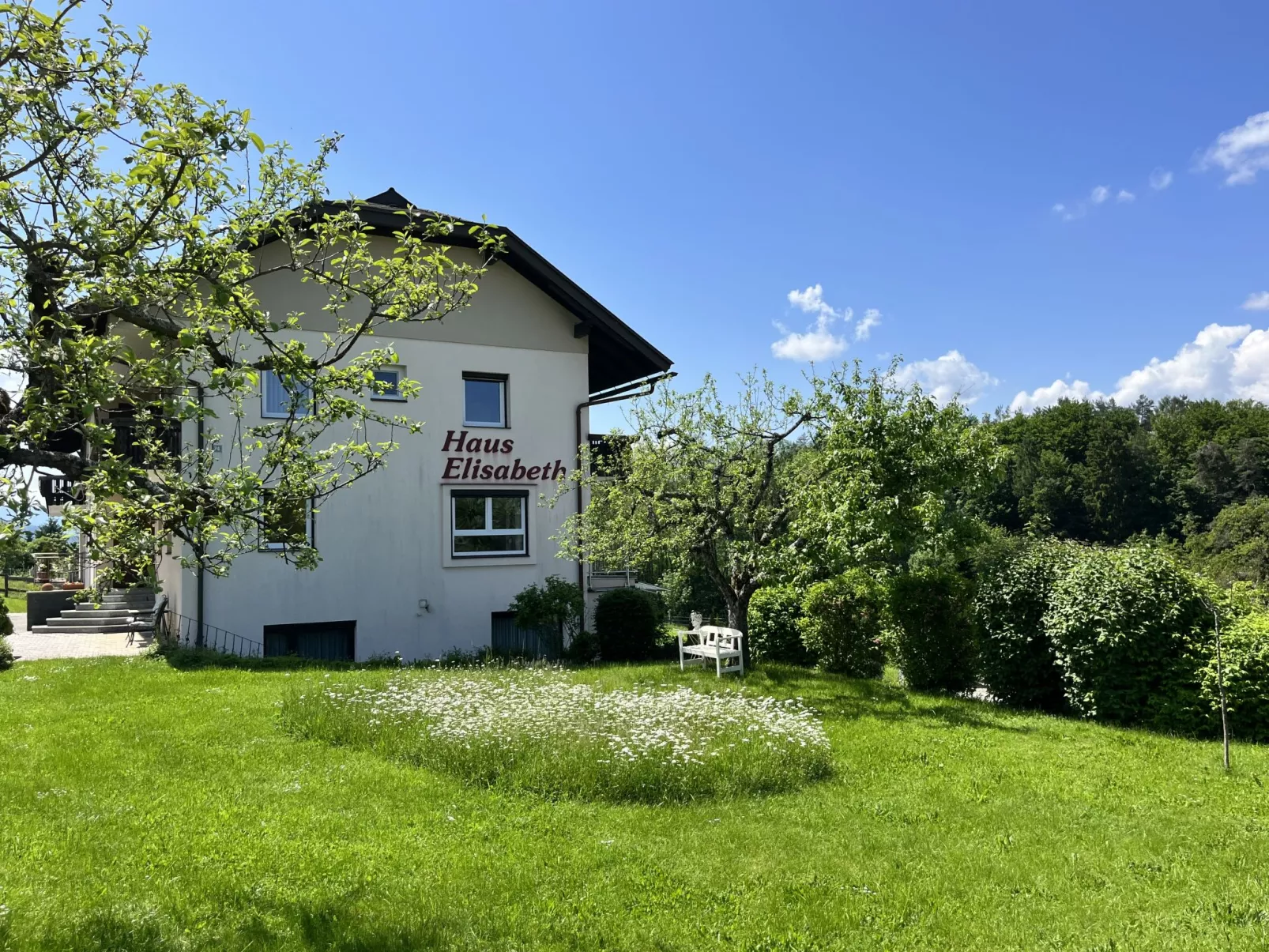 Löwenzahn-Outside