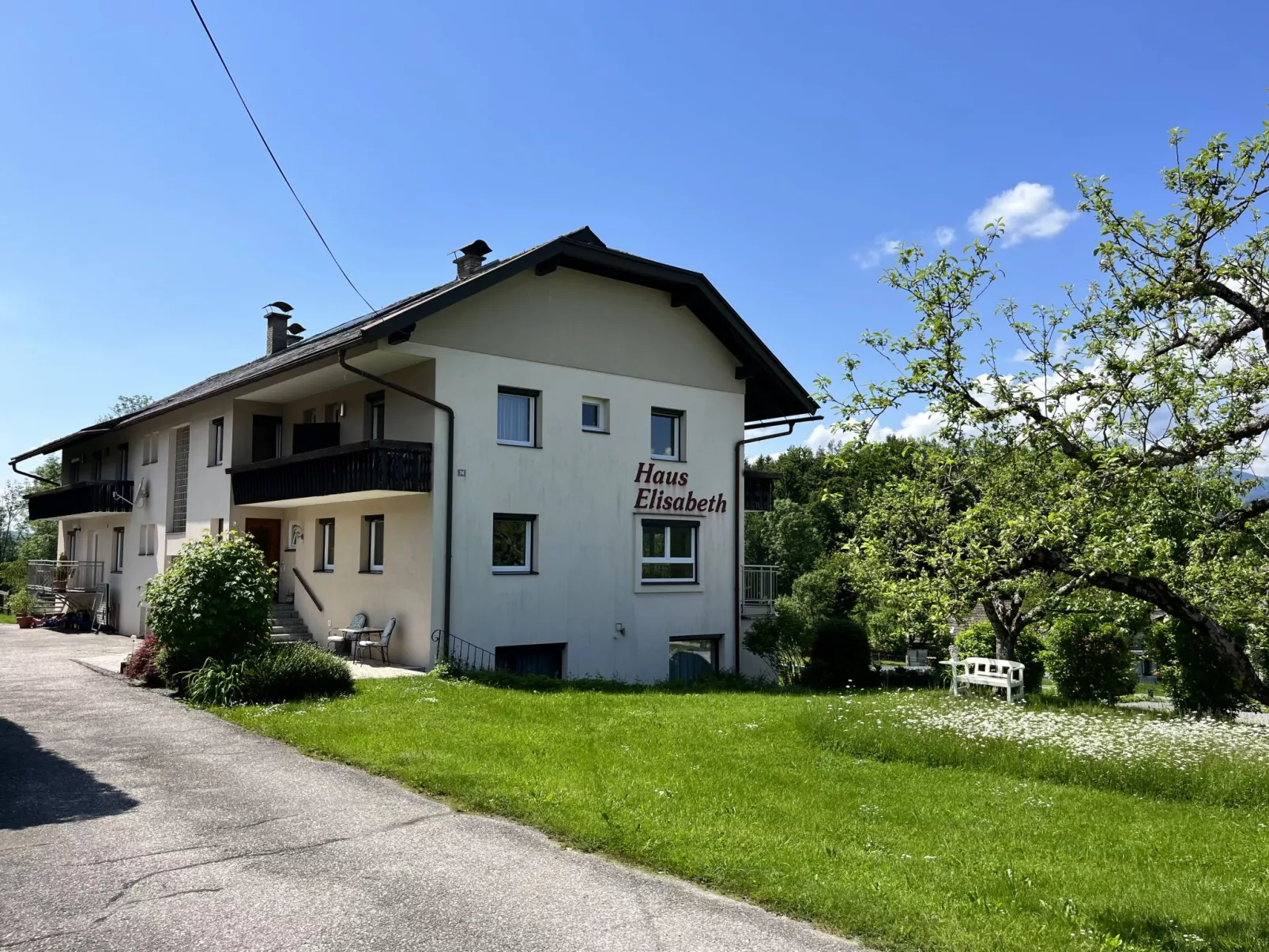 Löwenzahn-Outside