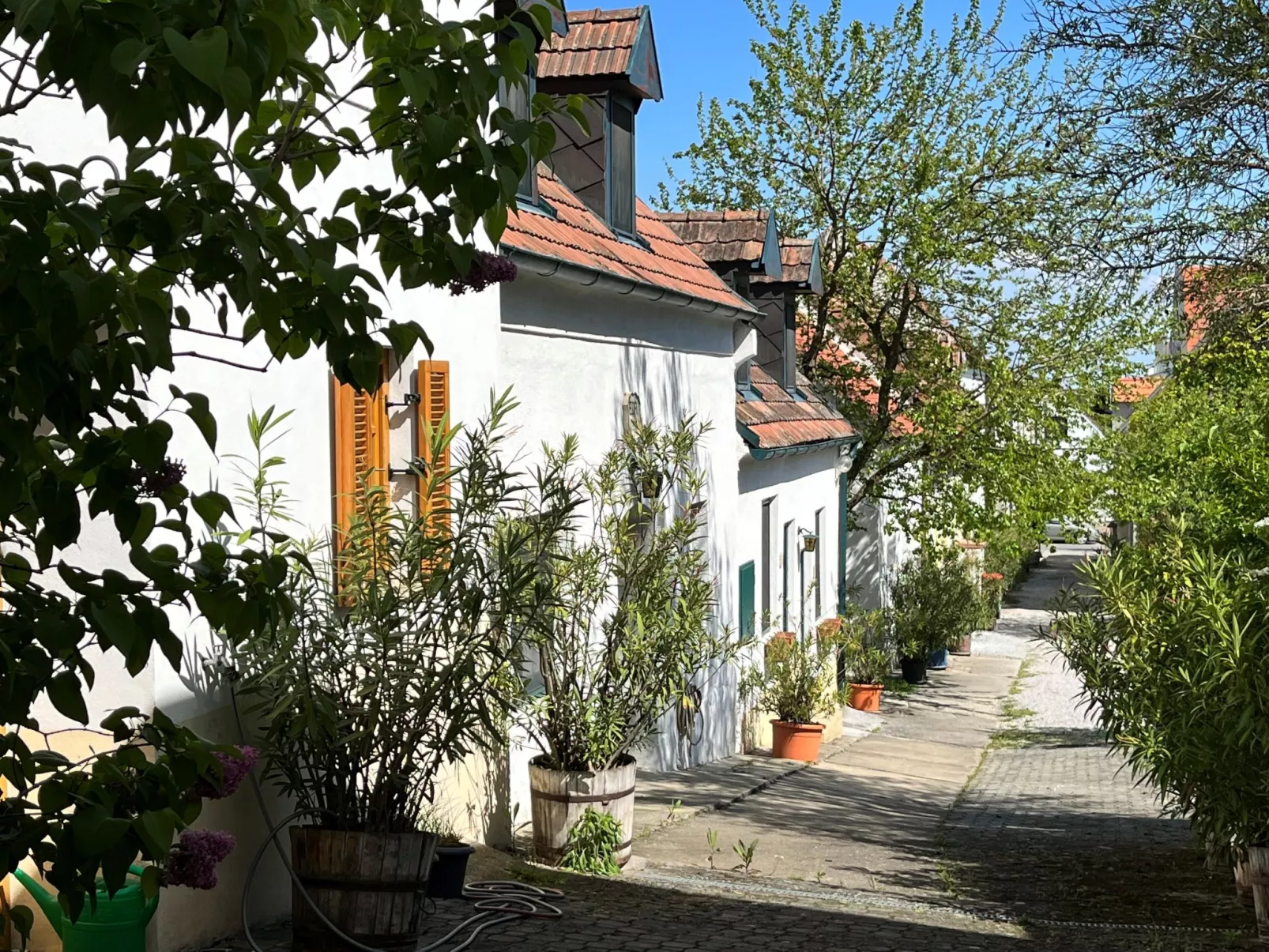 Hofgasse-Outside