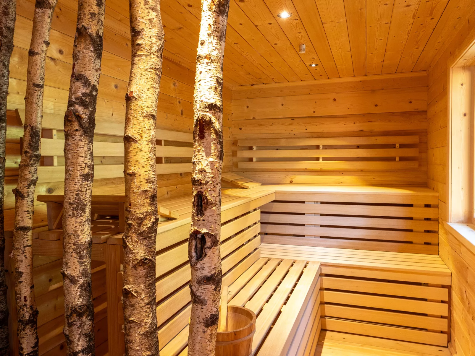Alpenchalet Silbertal-Inside