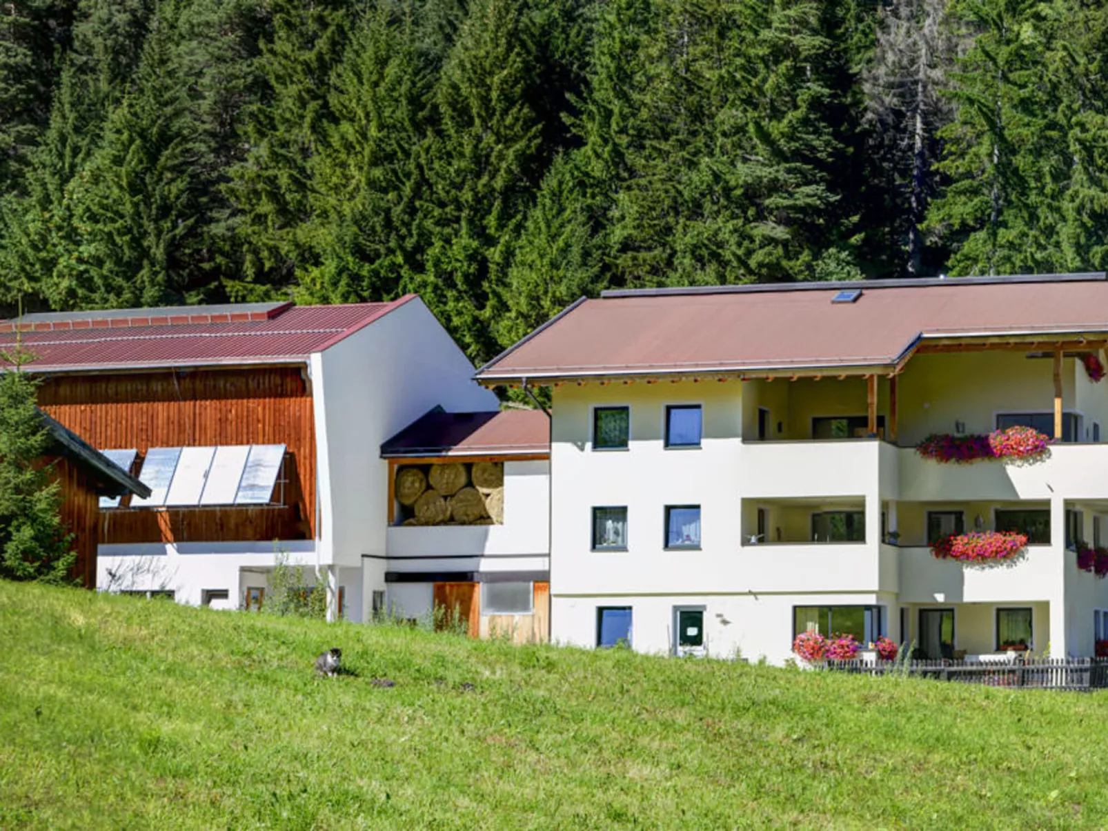 Schöngraben-Outside