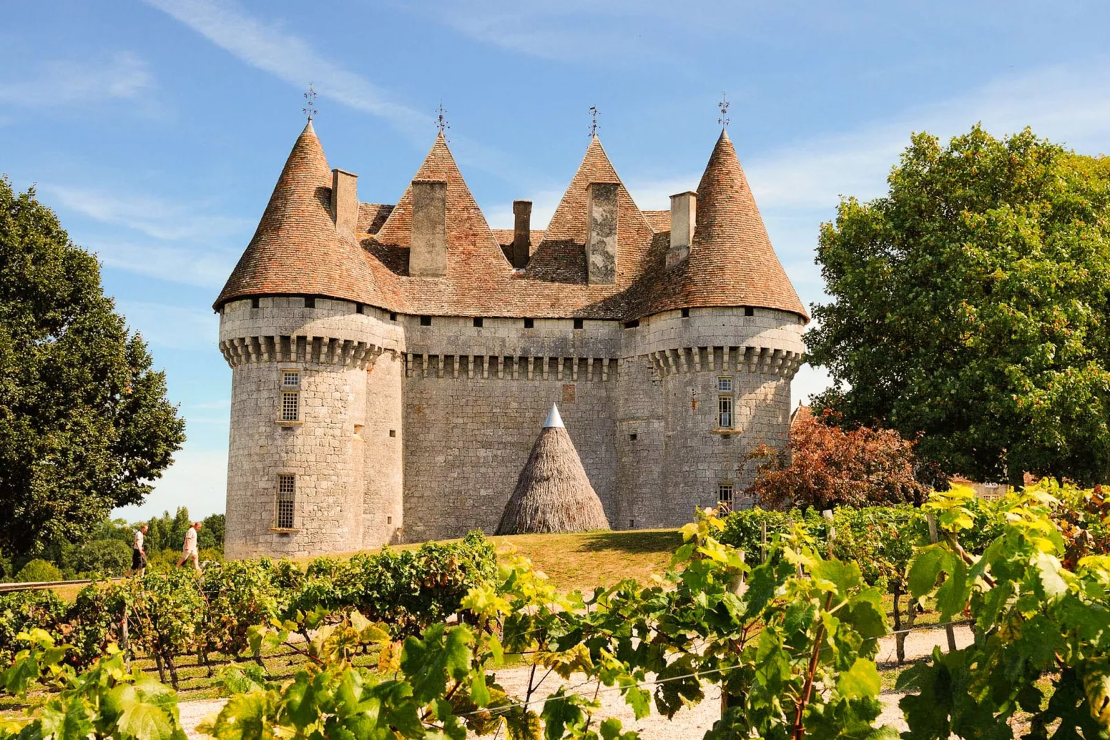 Domaine le Perrot-Areas summer 5km