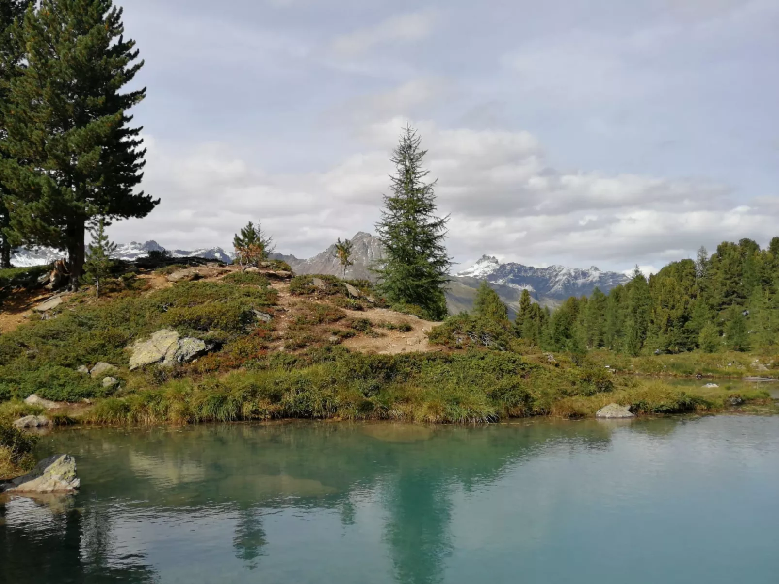 Ladner-Area