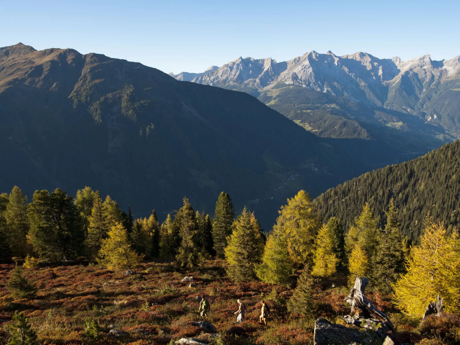 Bergblick-Area