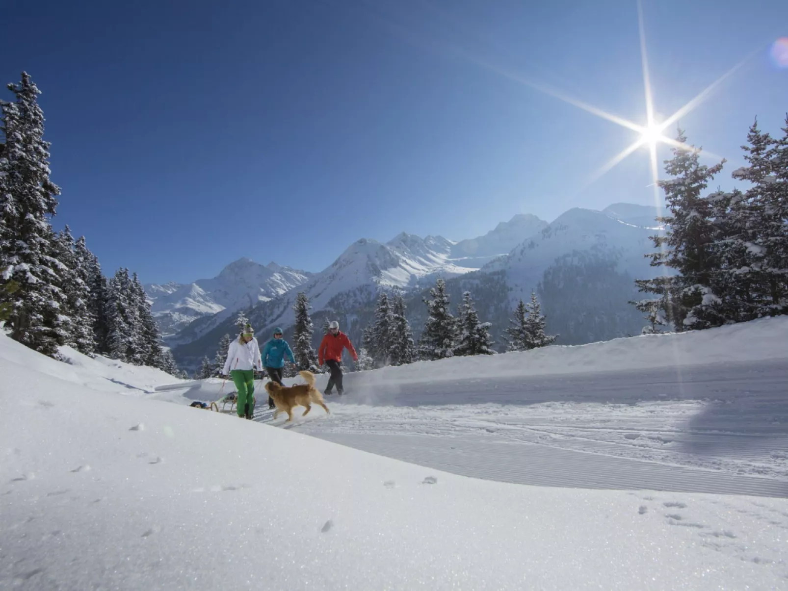 Süta Ötztal-Area