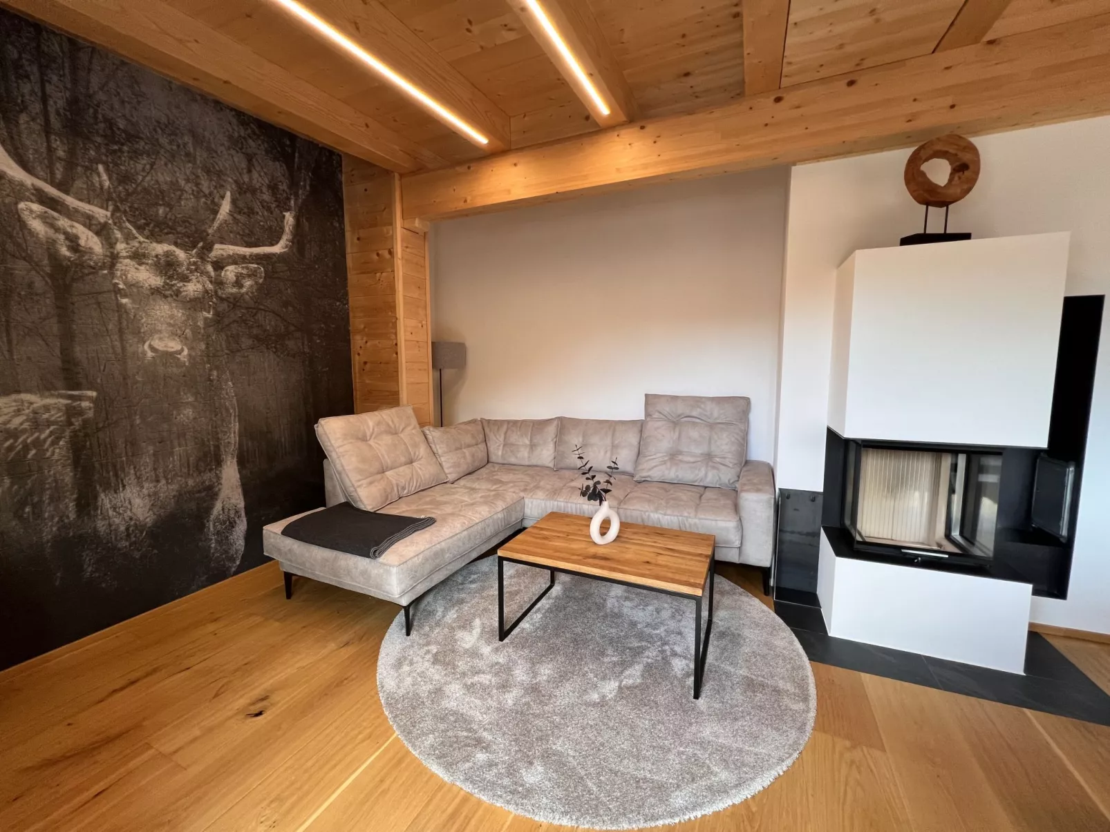 Penthouse large Bergblick 19-Drinnen