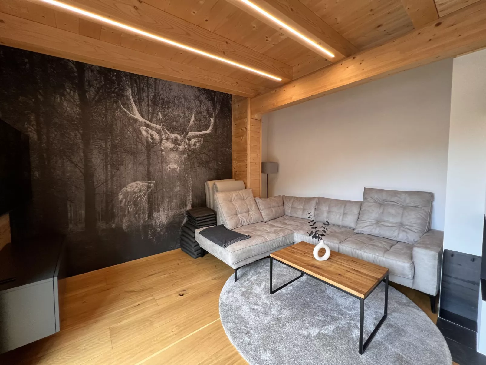 Penthouse large Bergblick 19-Drinnen
