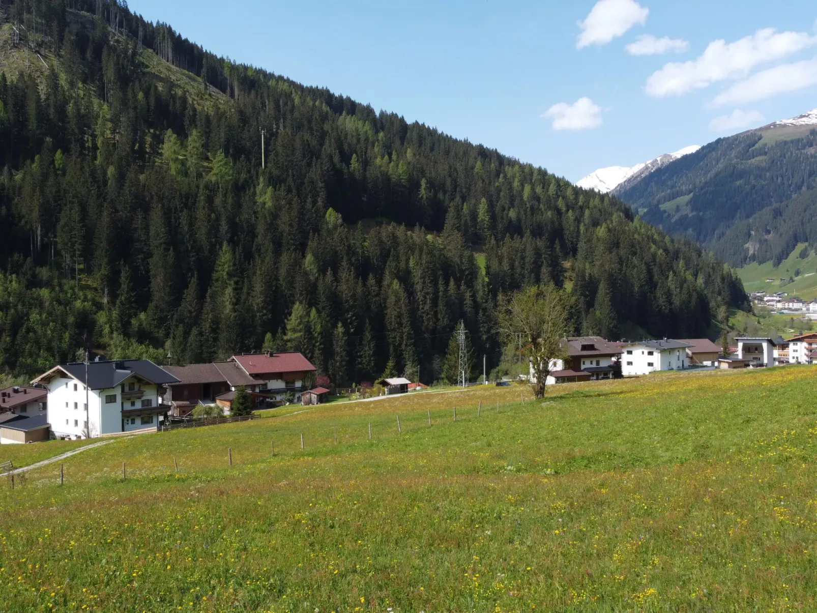 Wanglblick-Draußen