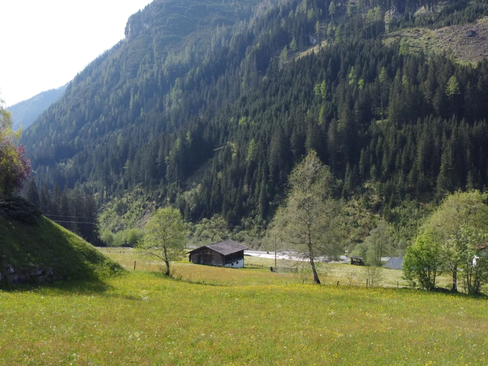 Wanglblick-Draußen
