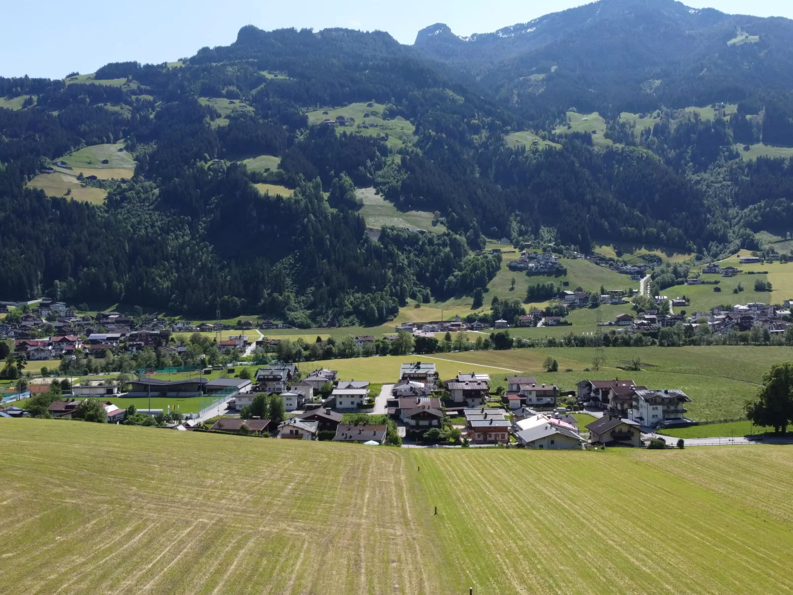 Neuner