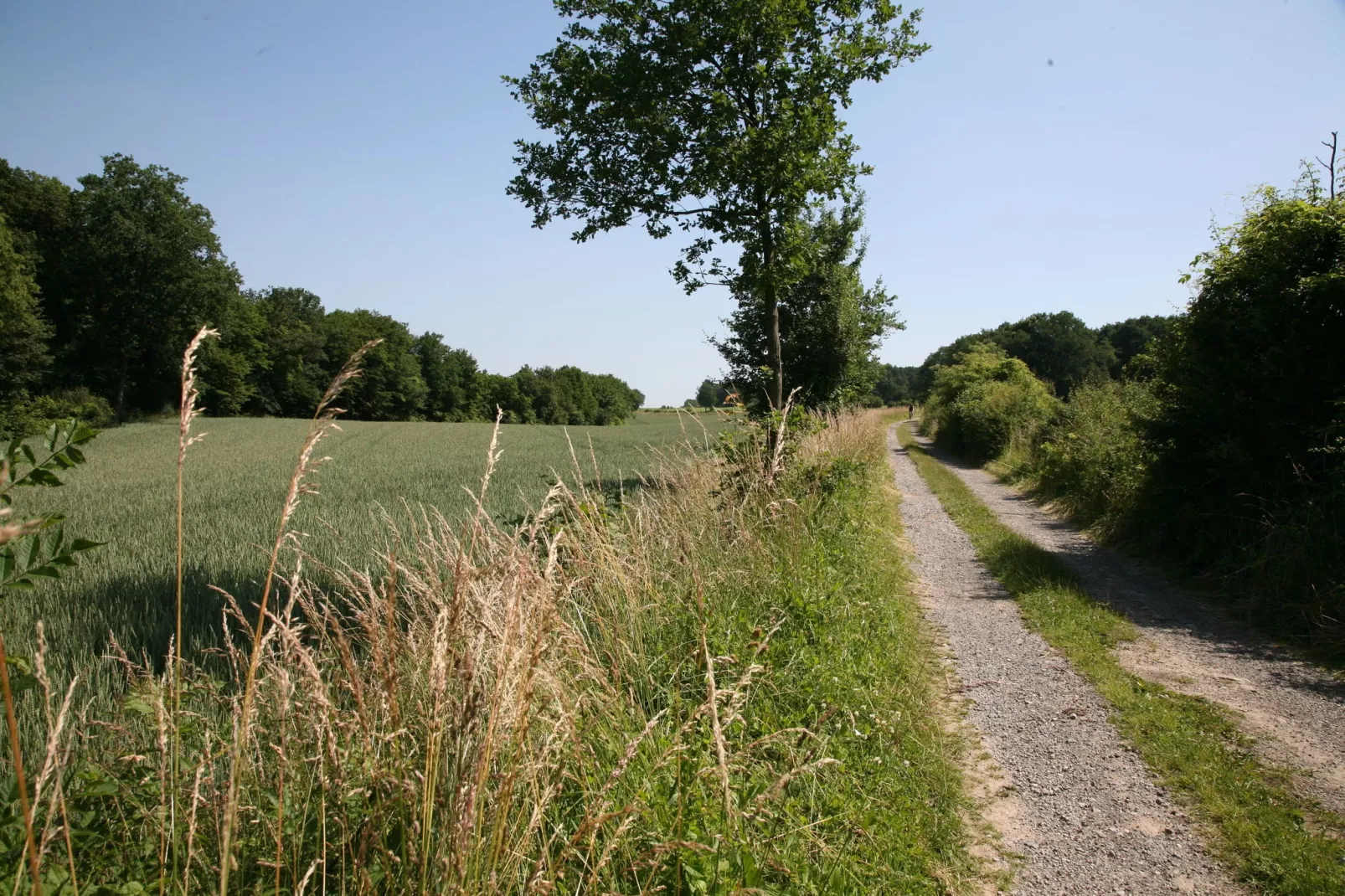 Chalet Bomal-Areas summer 1km